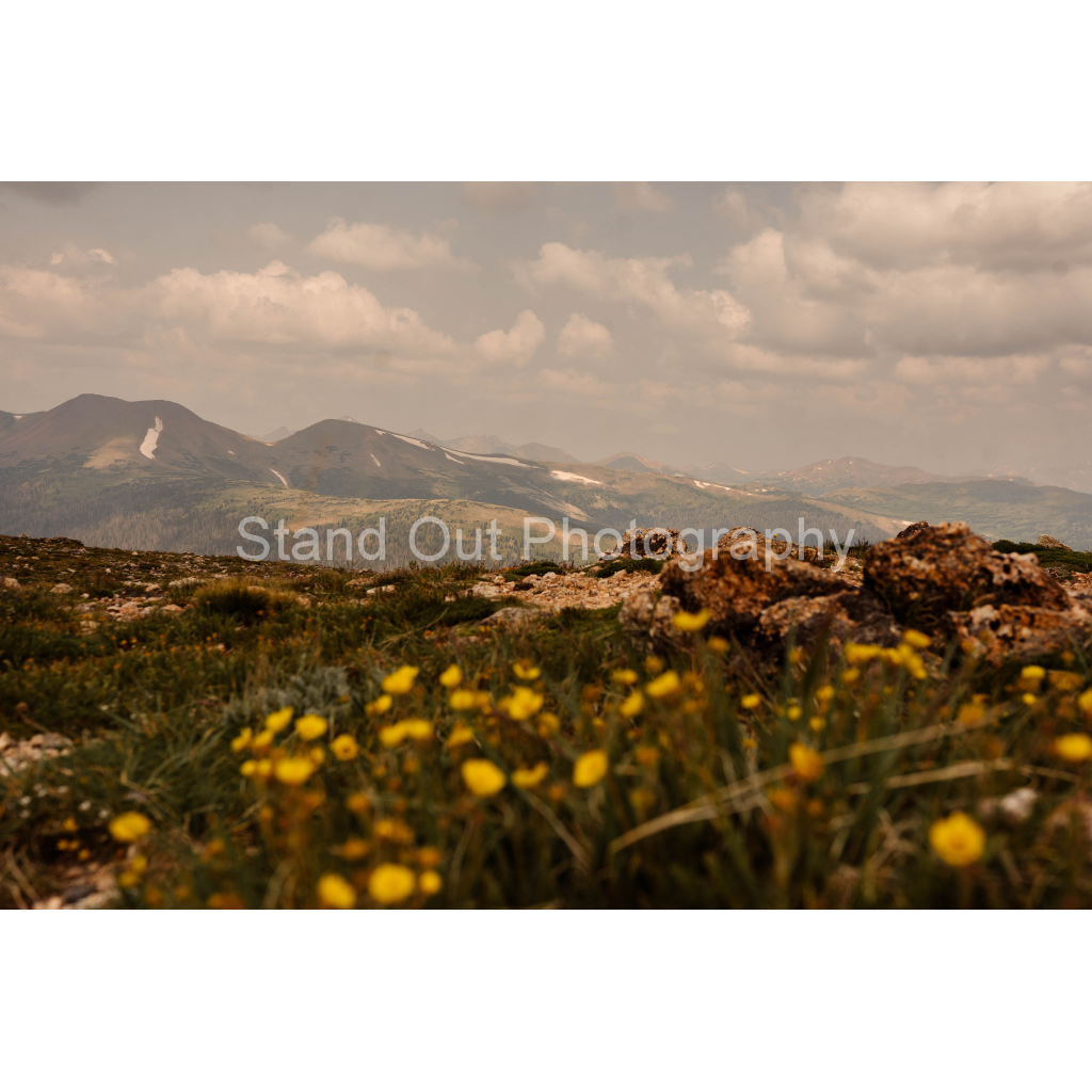 image_original_d0f0775bb8e447ce057bb1b921fad5aa.png