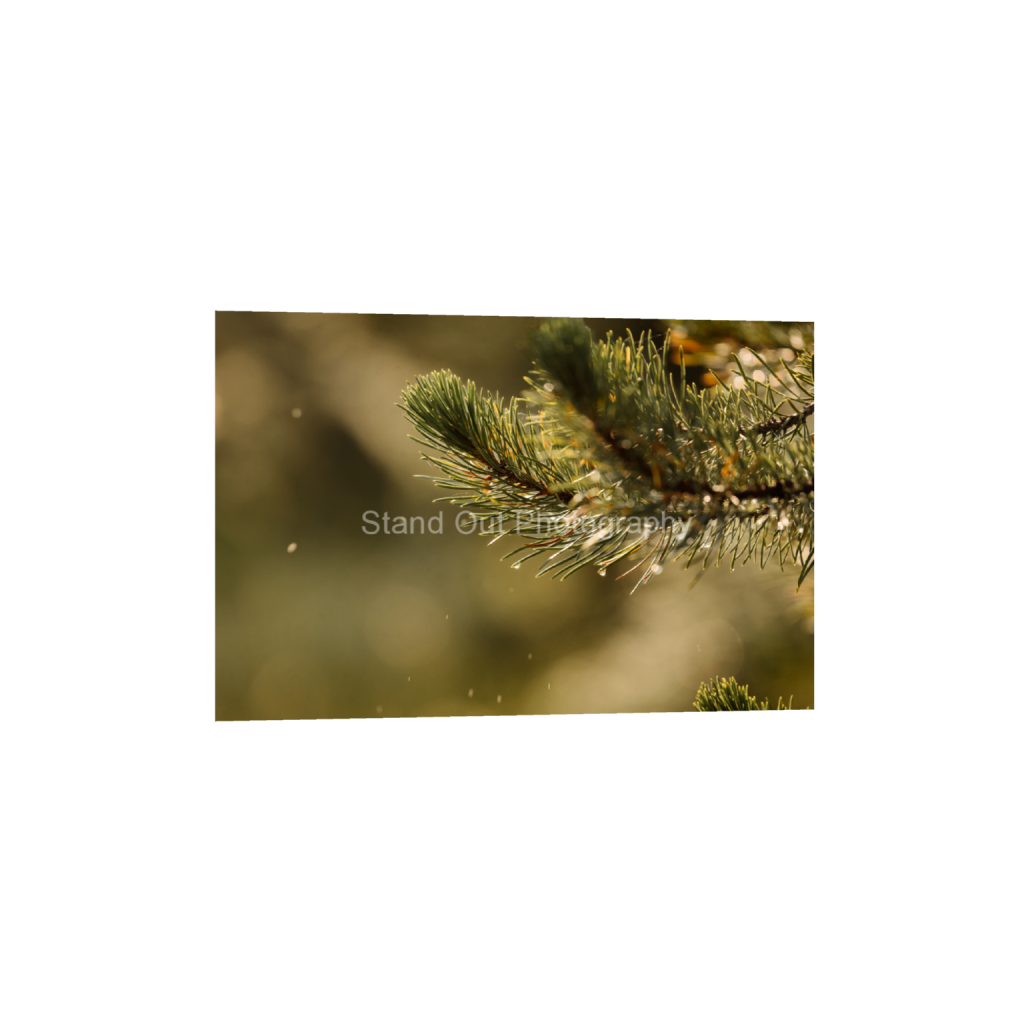 ptq_1_3_0_0_6000_4000_0_false_ffffff_0_0_d0f0775bb8e447ce057bb1b921fad5aa.png