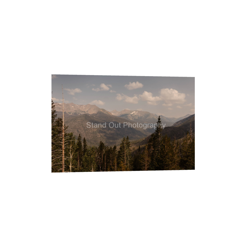 ptq_1_3_0_0_6000_4000_0_false_ffffff_0_0_d0f0775bb8e447ce057bb1b921fad5aa.png