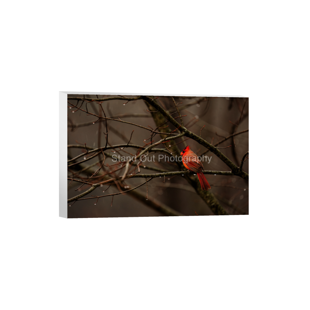 ptq_7_3_0_0_6000_4000_0_false_ffffff_0_0_d0f0775bb8e447ce057bb1b921fad5aa.png