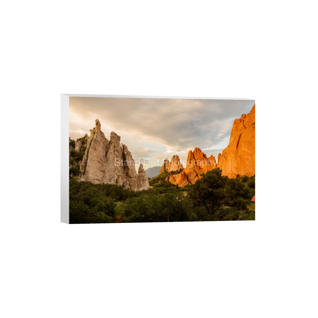 ptq_7_3_0_0_5926_3950_0_false_ffffff_0_0_d0f0775bb8e447ce057bb1b921fad5aa.png