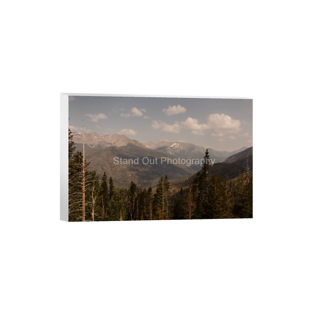 ptq_7_3_0_0_6000_4000_0_false_ffffff_0_0_d0f0775bb8e447ce057bb1b921fad5aa.png