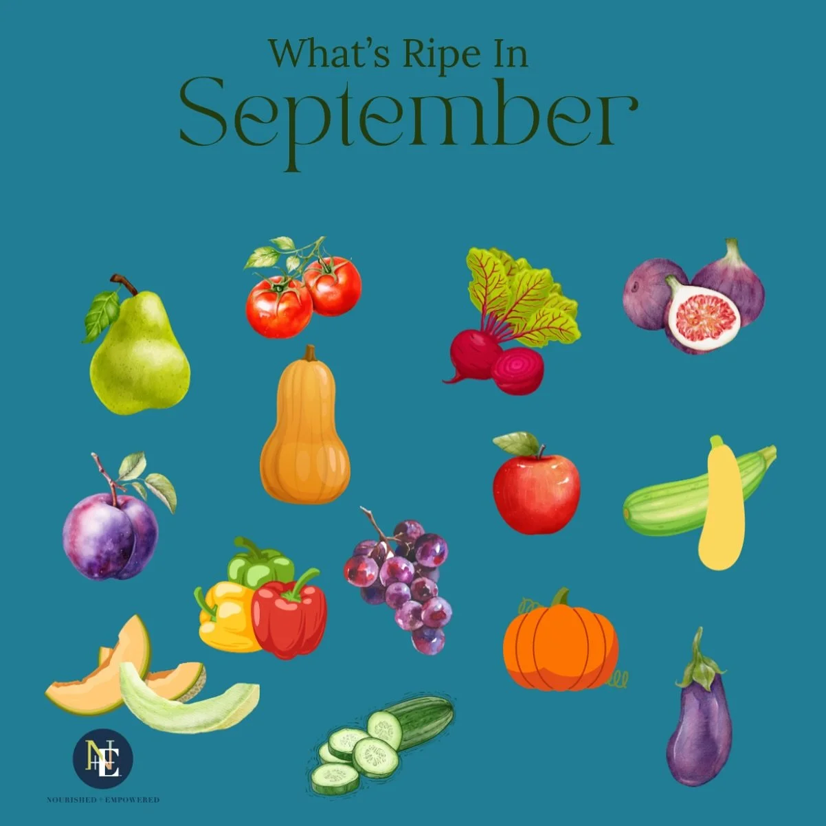 Your monthly guide to what&rsquo;s seasonal  right now!
