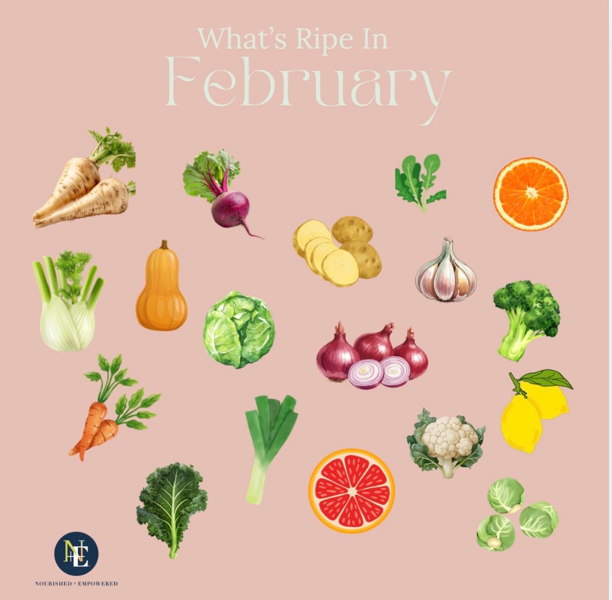 Your monthly seasonal veggie and fruit guide.

Foods naturally high in vitamin C, like lemons, grapefruit, oranges, as immune boosters and collagen builders (collagen needs vit C to build) 

Sulfur veggies like onions, broccoli, Brussels, leeks, garl