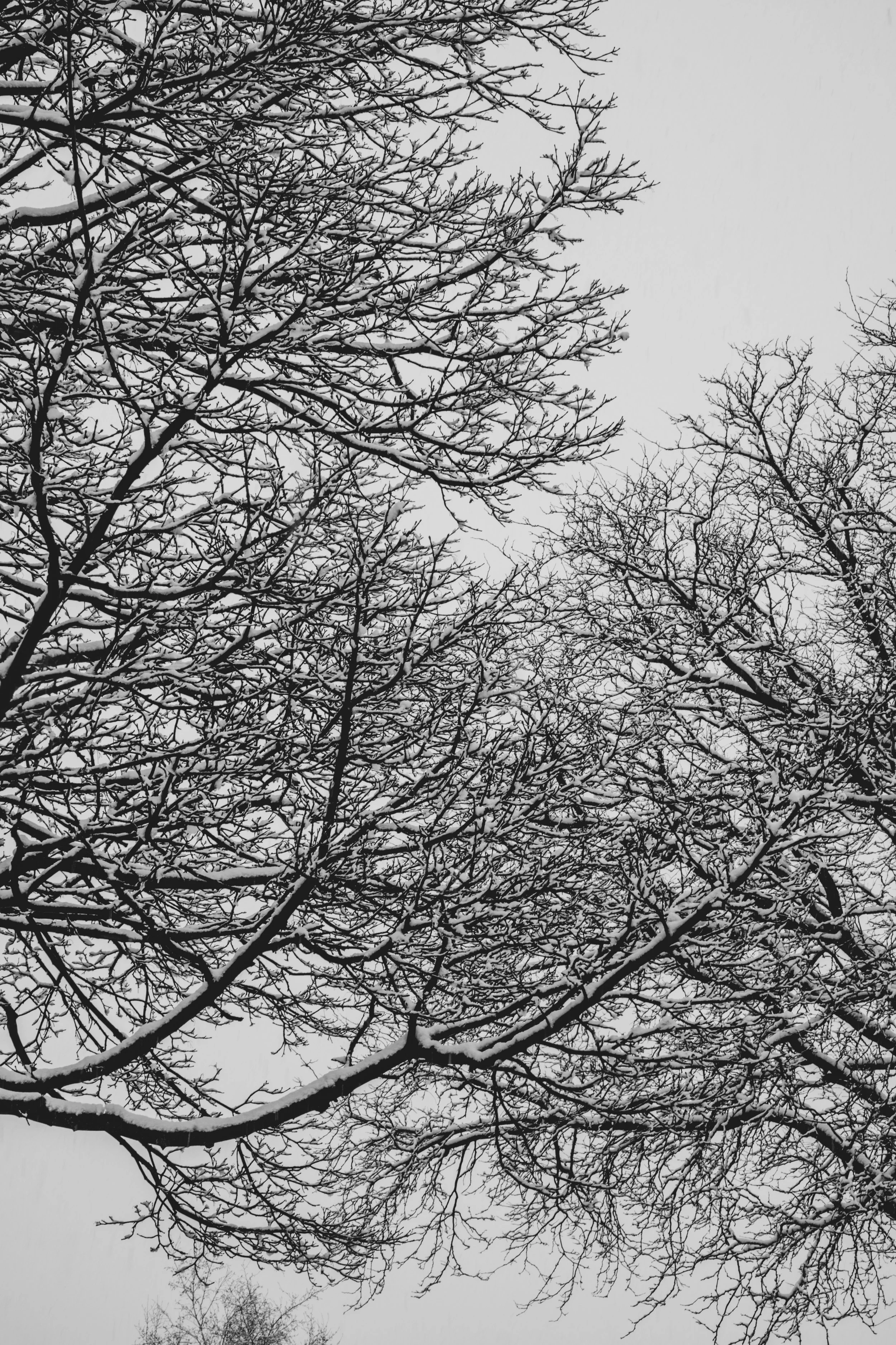 DSCF9434.jpg