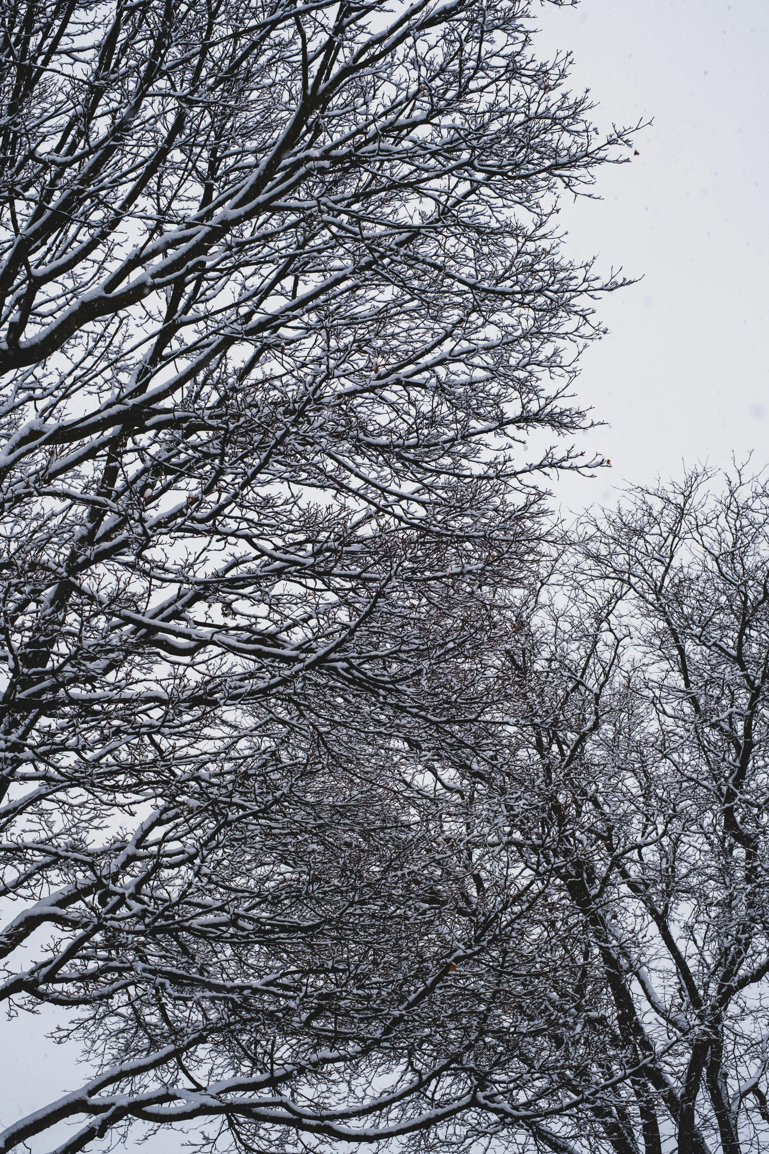 DSCF9431.jpg