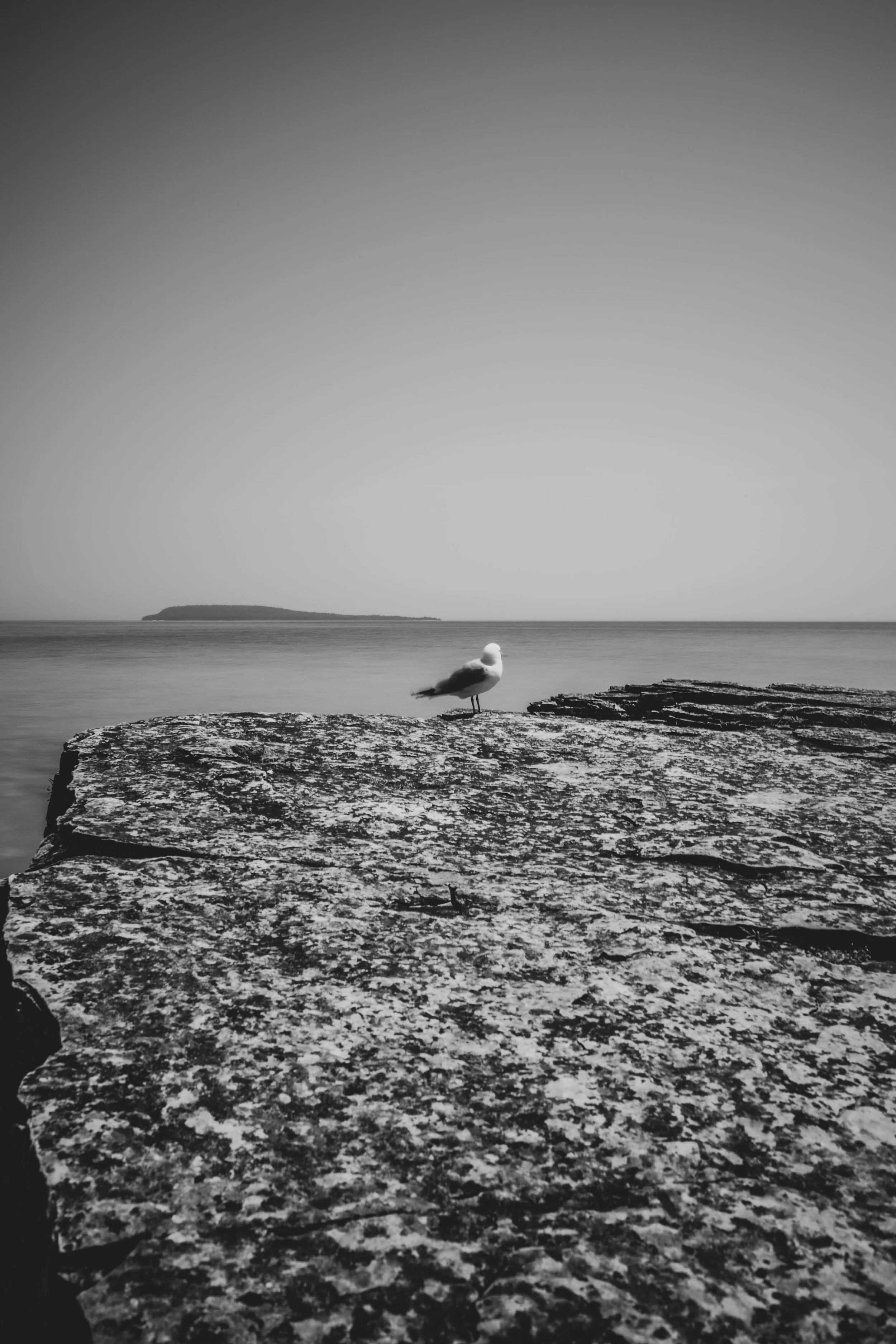 R0001626.jpg