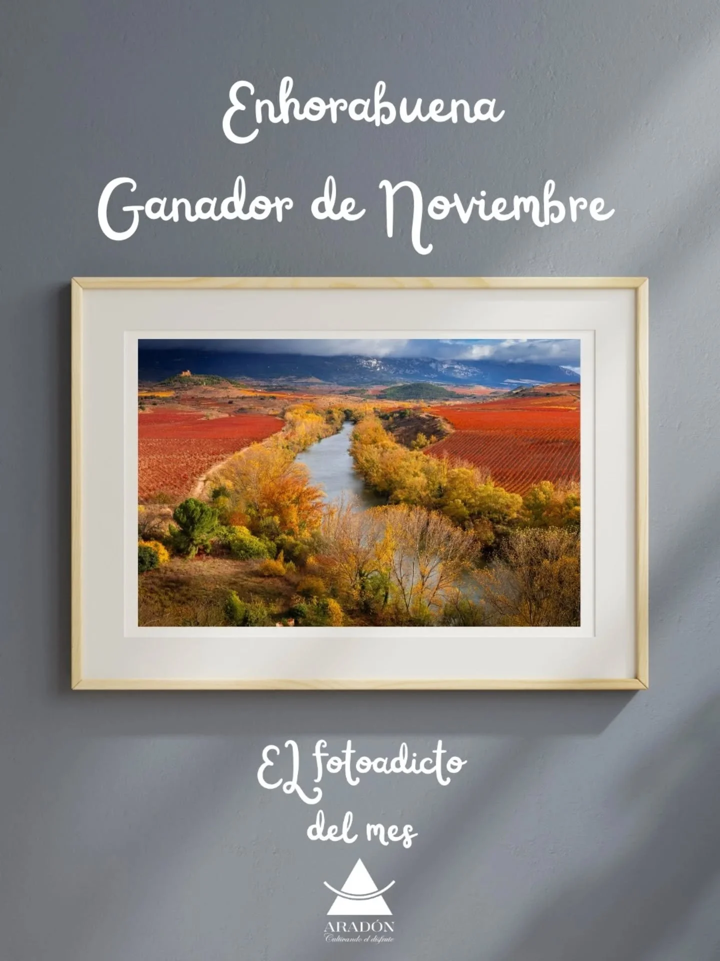 🎉 Fotoadicto del Mes &ndash; Tem&aacute;tica: Oto&ntilde;o 🍂

Nos complace anunciar que el ganador del mes de noviembre es @alvaro_alsina con su fotograf&iacute;a &quot;Oto&ntilde;o en el Valle&quot;. 📸✨

&Aacute;lvaro nos cuenta sobre su obra:

&