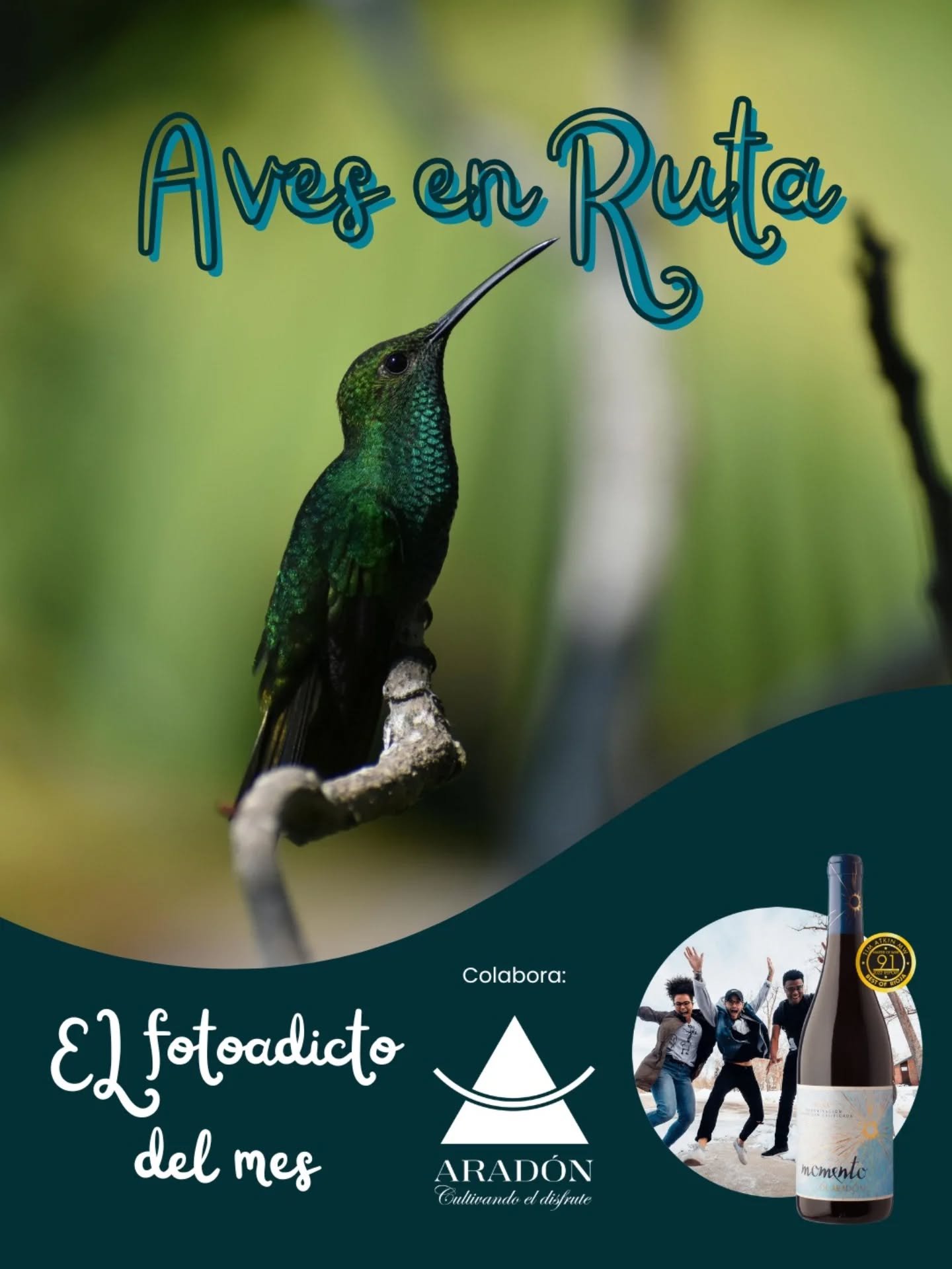 ✨ MARZO llega lleno de alas, caminos y horizontes abiertos.
Un mes para observar el cielo, descubrir rutas invisibles y celebrar el viaje.

MARZO &middot; AVES EN RUTA 🕊️

Este mes buscamos aves en movimiento, migraciones, vuelos, descansos en el ca