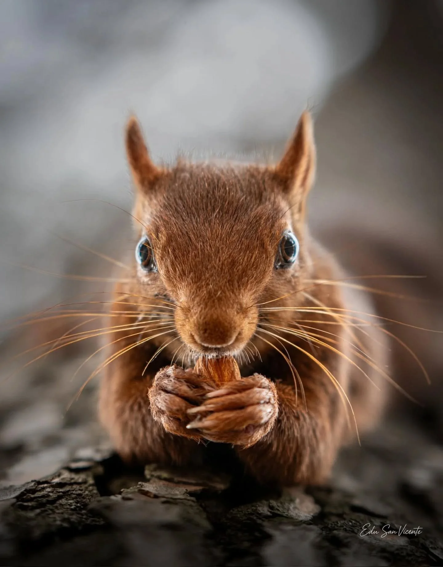 ✨ FOTO DESTACADA ✨

Hoy destacamos la mirada de @edusanvicente 📸

Una imagen que refleja su forma de ver la fotograf&iacute;a, cuidando cada detalle y transmitiendo mucho m&aacute;s que un simple instante.

Desde Fotoadictos seguimos apostando por d