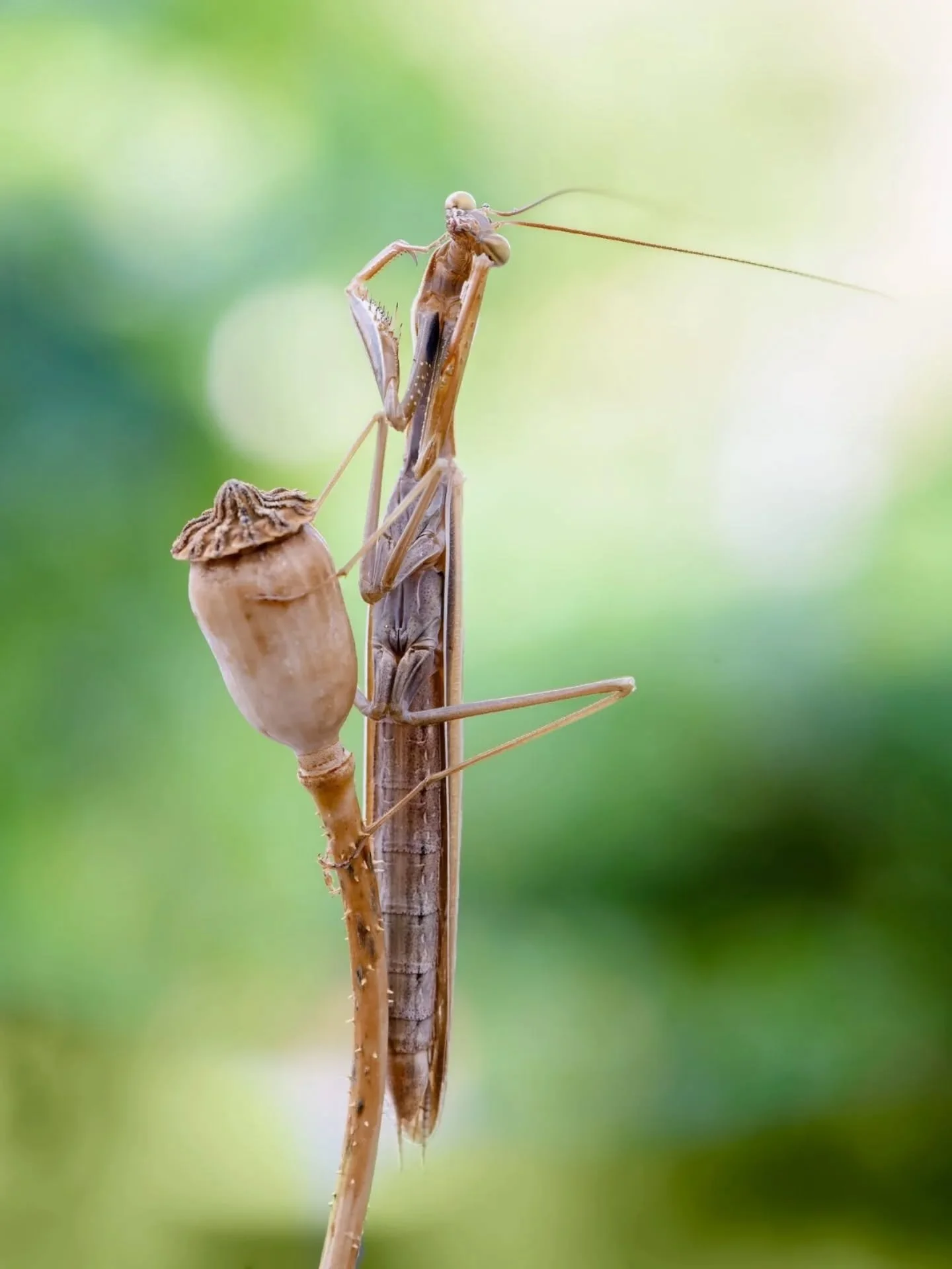 ✨ FOTO DESTACADA ✨

Hoy destacamos la mirada de @marpaos 📸

Una imagen que refleja su forma de ver la fotograf&iacute;a, cuidando cada detalle y transmitiendo mucho m&aacute;s que un simple instante.

Desde Fotoadictos seguimos apostando por dar vis
