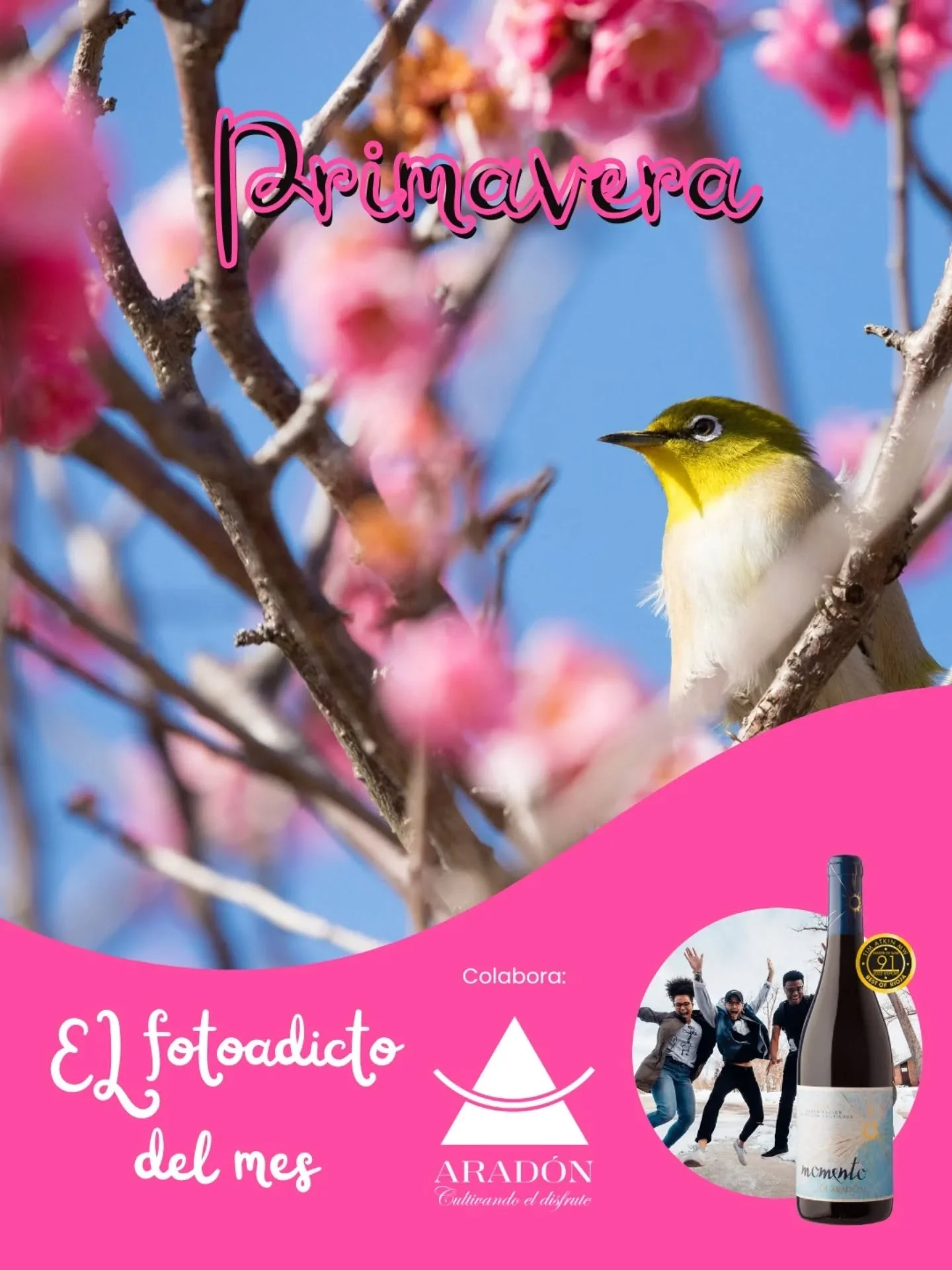 ✨ MAYO florece a nuestro alrededor, llenando de color, vida y energ&iacute;a cada rinc&oacute;n.
Un mes para salir, inspirarse y capturar la esencia de la primavera en todo su esplendor.

MAYO &middot; PRIMAVERA 🌸🌿

Este mes celebramos la vida: flo