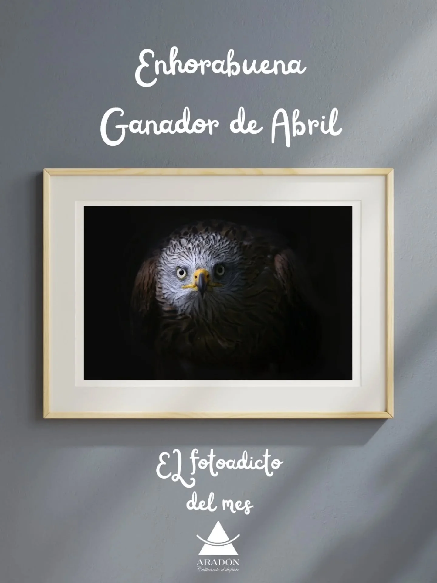 📷 Categor&iacute;a: De Cerca 🔍

Nos complace anunciar que el ganador del mes de abril es @marpaos con su fotograf&iacute;a &ldquo;MIRADAS&rdquo;. ✨

Juanjo nos cuenta el origen de su imagen:

&ldquo;La foto la hice en Cab&aacute;rceno para practica