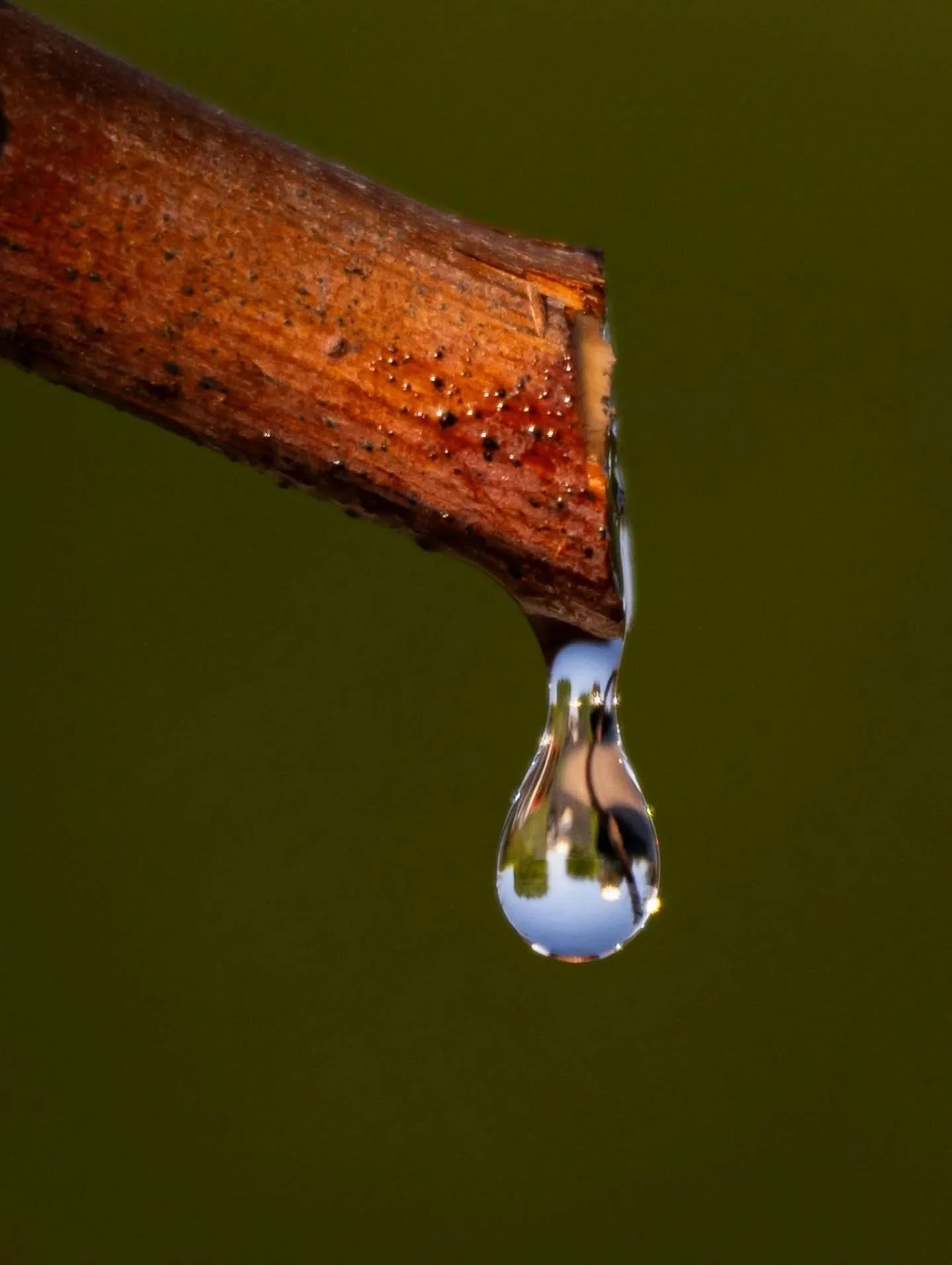 ✨ FOTO DESTACADA ✨

Hoy destacamos la mirada de @edusanvicente 📸

Una imagen que refleja su forma de ver la fotograf&iacute;a, cuidando cada detalle y transmitiendo mucho m&aacute;s que un simple instante.

Desde Fotoadictos seguimos apostando por d