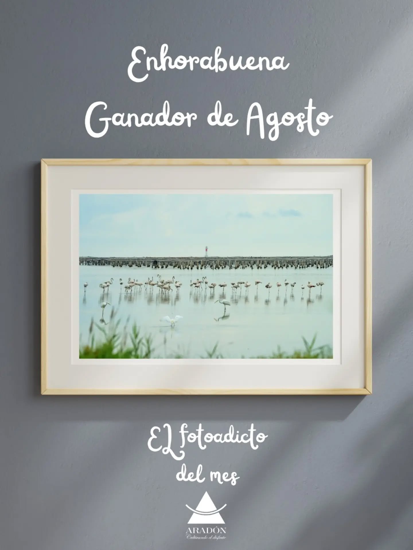 📷 Categor&iacute;a: Un lugar especial 💙

Nos complace anunciar que el ganador del mes de agosto es @andodepajaritos con su fotograf&iacute;a "Paisaje Delta del Ebro". ✨

Sergio Nevot Vilda nos cuenta el origen de su imagen:

"Este es