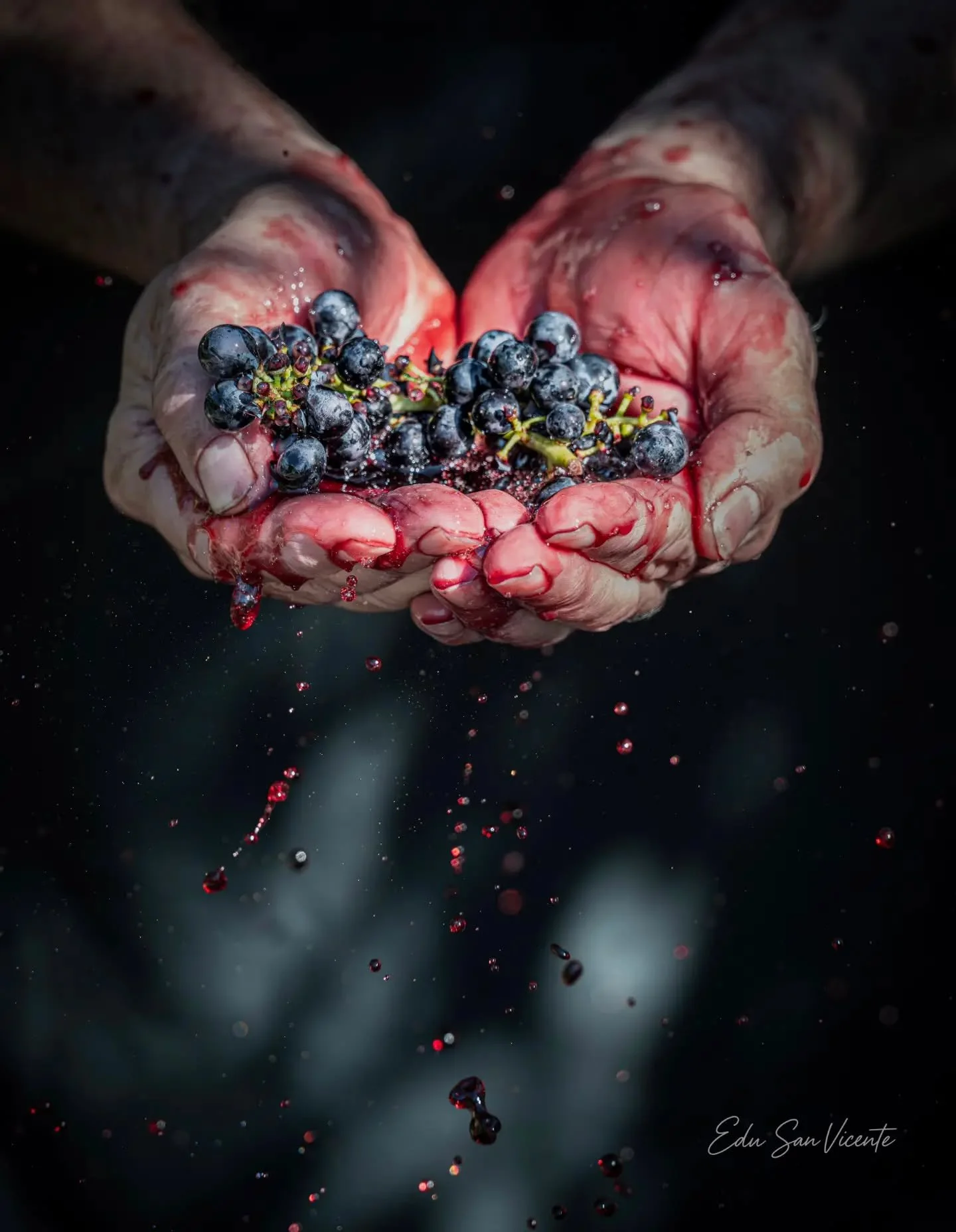 ✨ FOTO DESTACADA ✨

Hoy destacamos la mirada de @edusanvicente 📸

Una imagen que refleja su forma de ver la fotograf&iacute;a, cuidando cada detalle y transmitiendo mucho m&aacute;s que un simple instante.

Desde Fotoadictos seguimos apostando por d