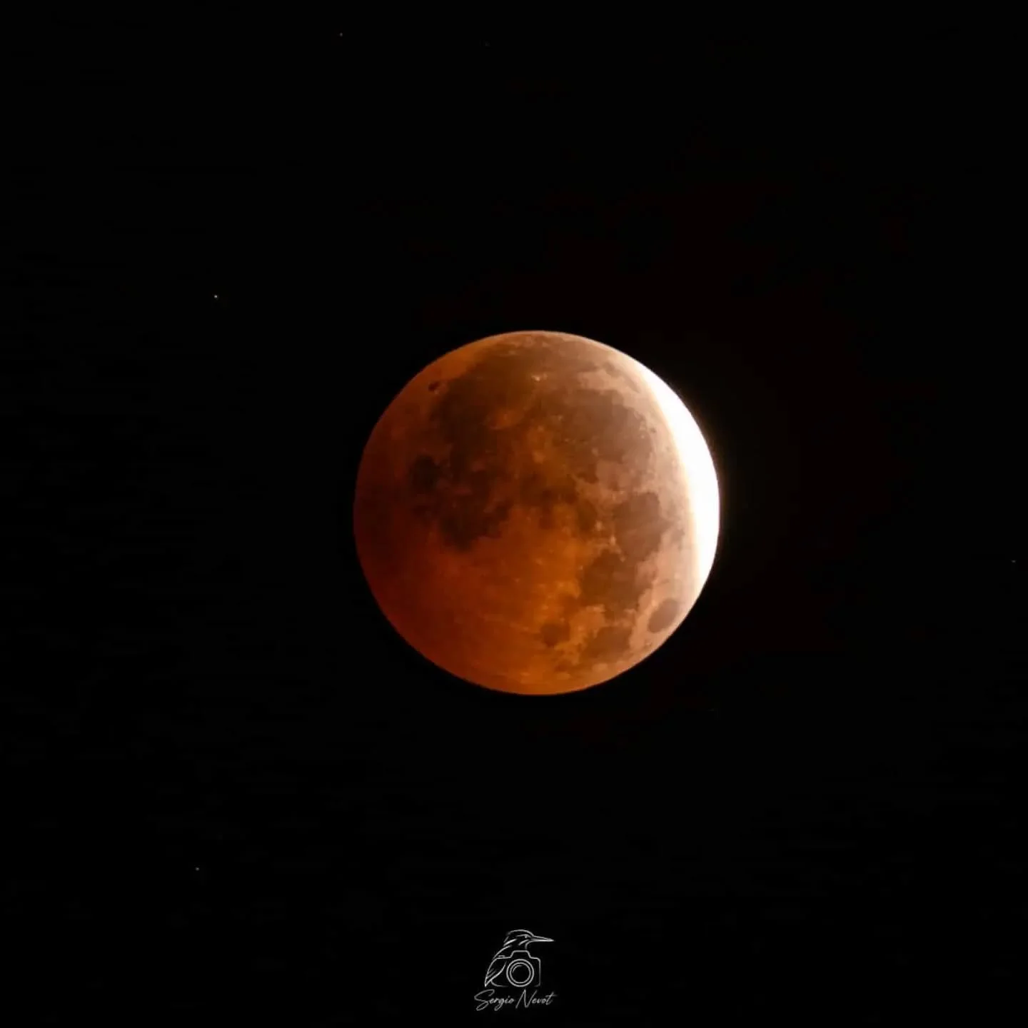 ✨ FOTO DESTACADA ✨

Hoy destacamos la mirada de @andodepajaritos 📸

Una imagen que refleja su forma de ver la fotograf&iacute;a, cuidando cada detalle y transmitiendo mucho m&aacute;s que un simple instante.

Desde Fotoadictos seguimos apostando por
