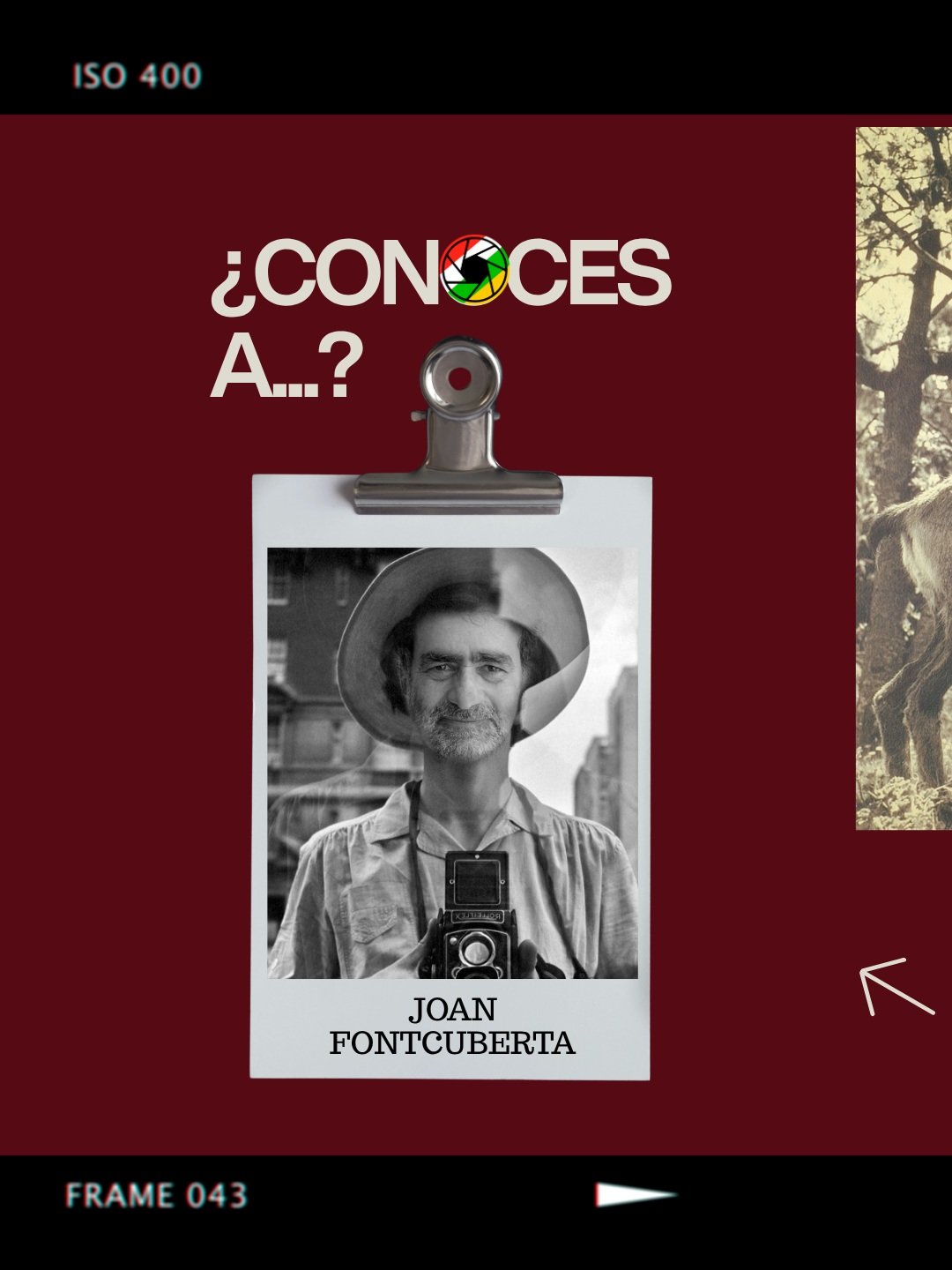 &iquest;Y si una fotograf&iacute;a pudiera mentir? 📸 Joan Fontcuberta juega con la realidad y la ficci&oacute;n para recordarnos que no todo lo que vemos es verdad. Porque aprender a mirar tambi&eacute;n significa aprender a dudar.

#JoanFontcuberta