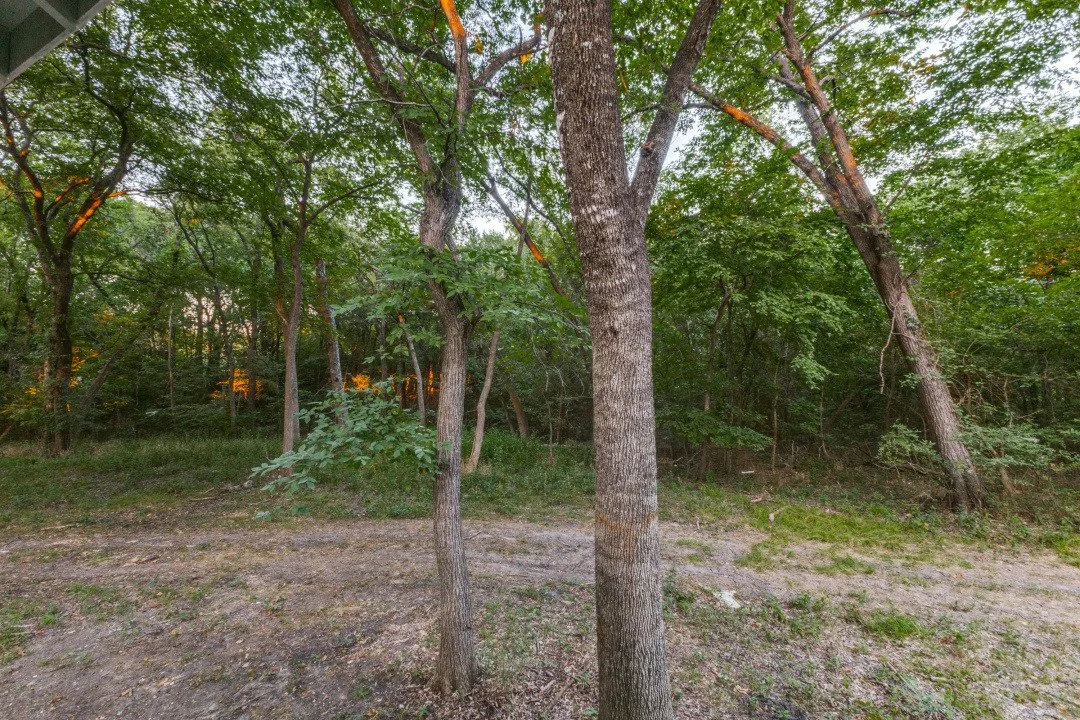 2990 County Road 568 Surrounding Trees.jpg