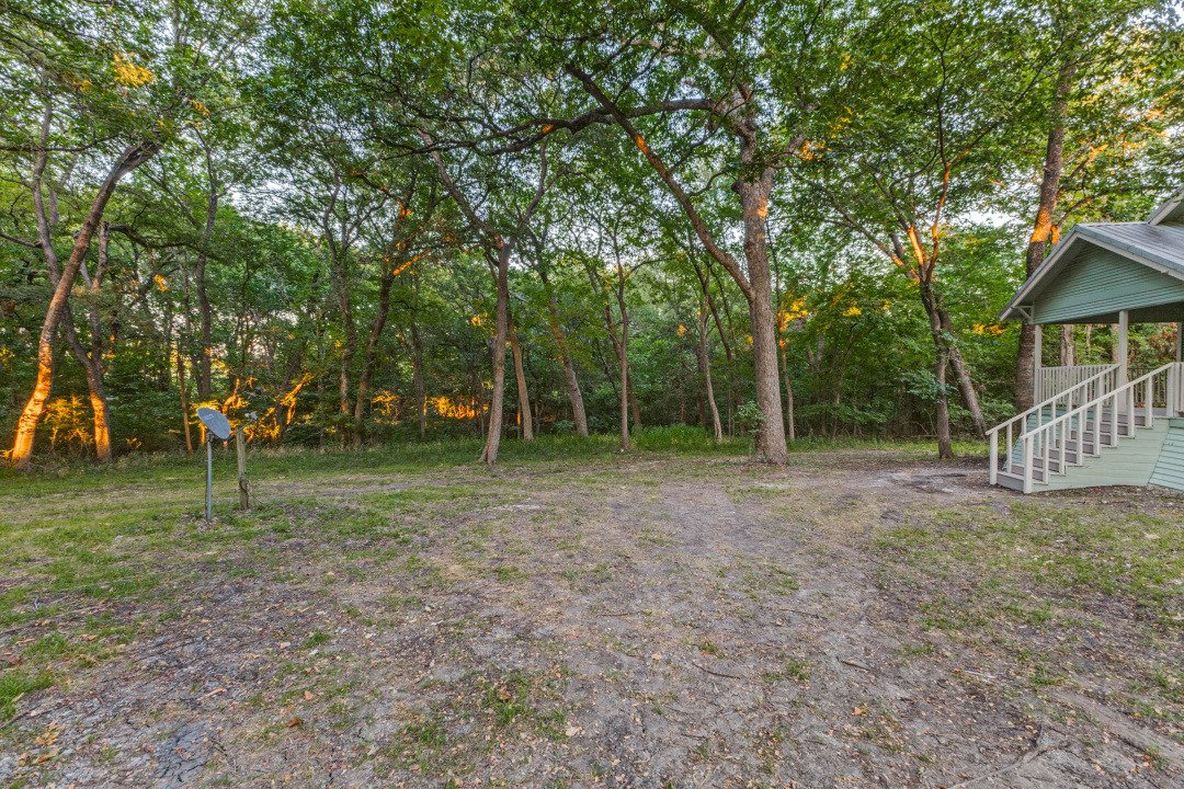 2990 County Road 568 Tree and Driveway View.jpg