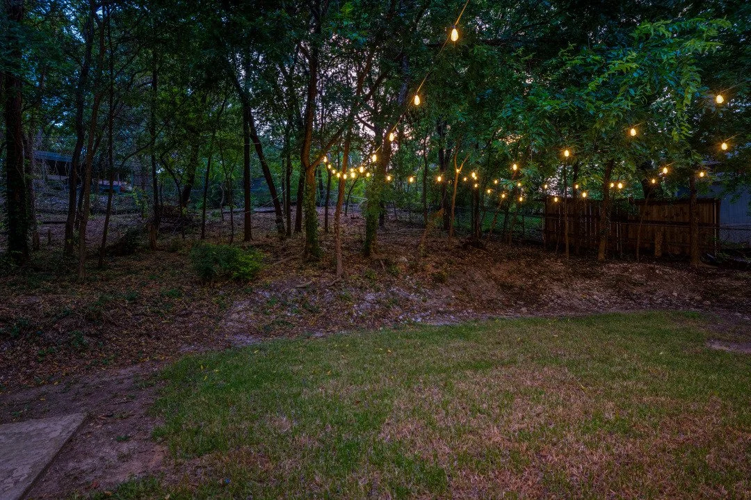 1233 Lady Lane Backyard.jpg