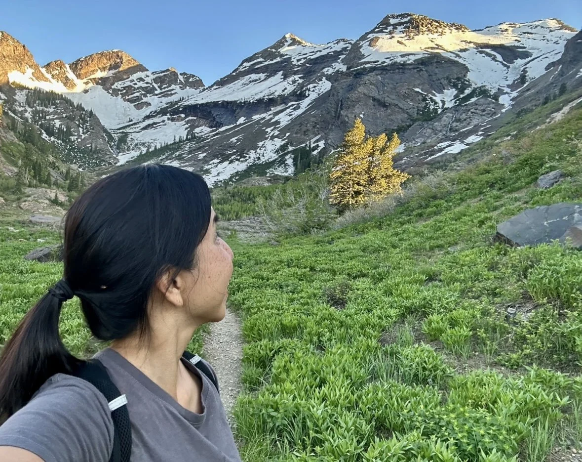 Preparing for Psychedelic Work