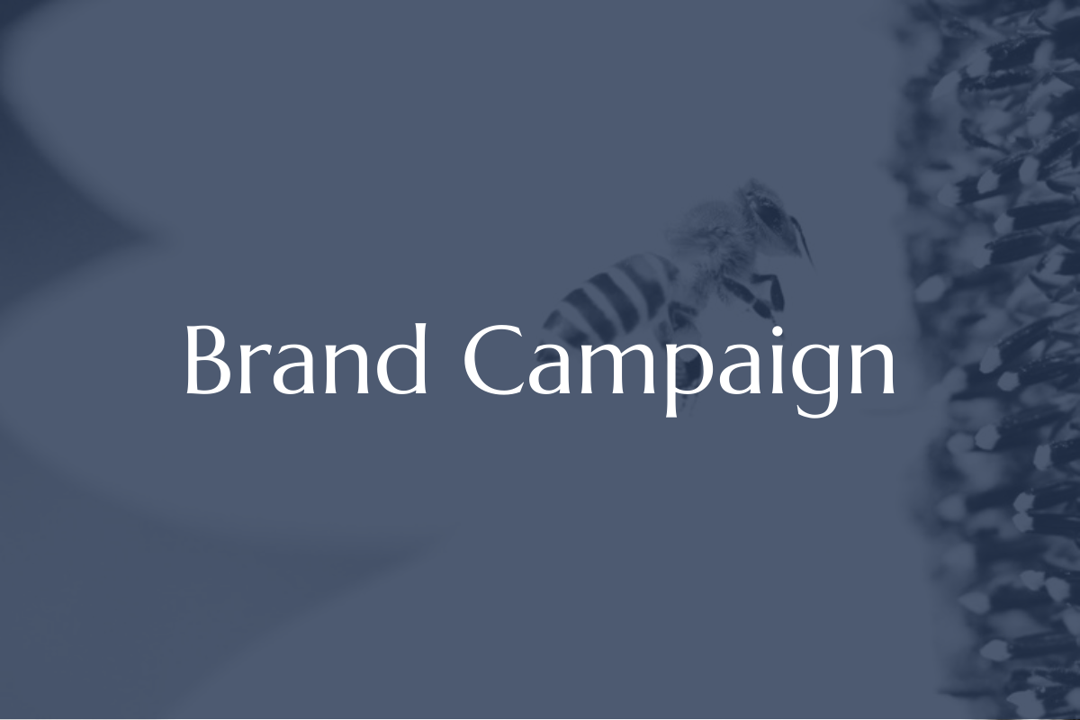 brand campaign.png