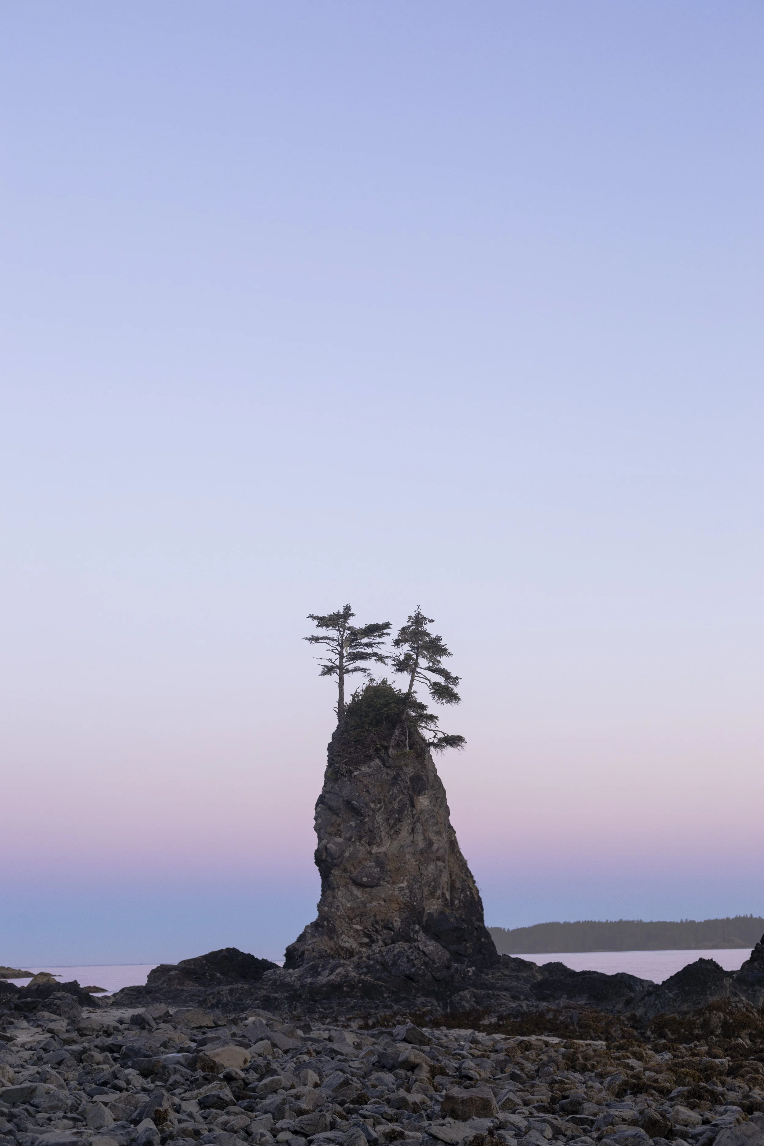 A solitary rocky sea stack with two windswept pine trees on top, located along a shoreline with rocks and distant land across calm water under a gradient sky.
