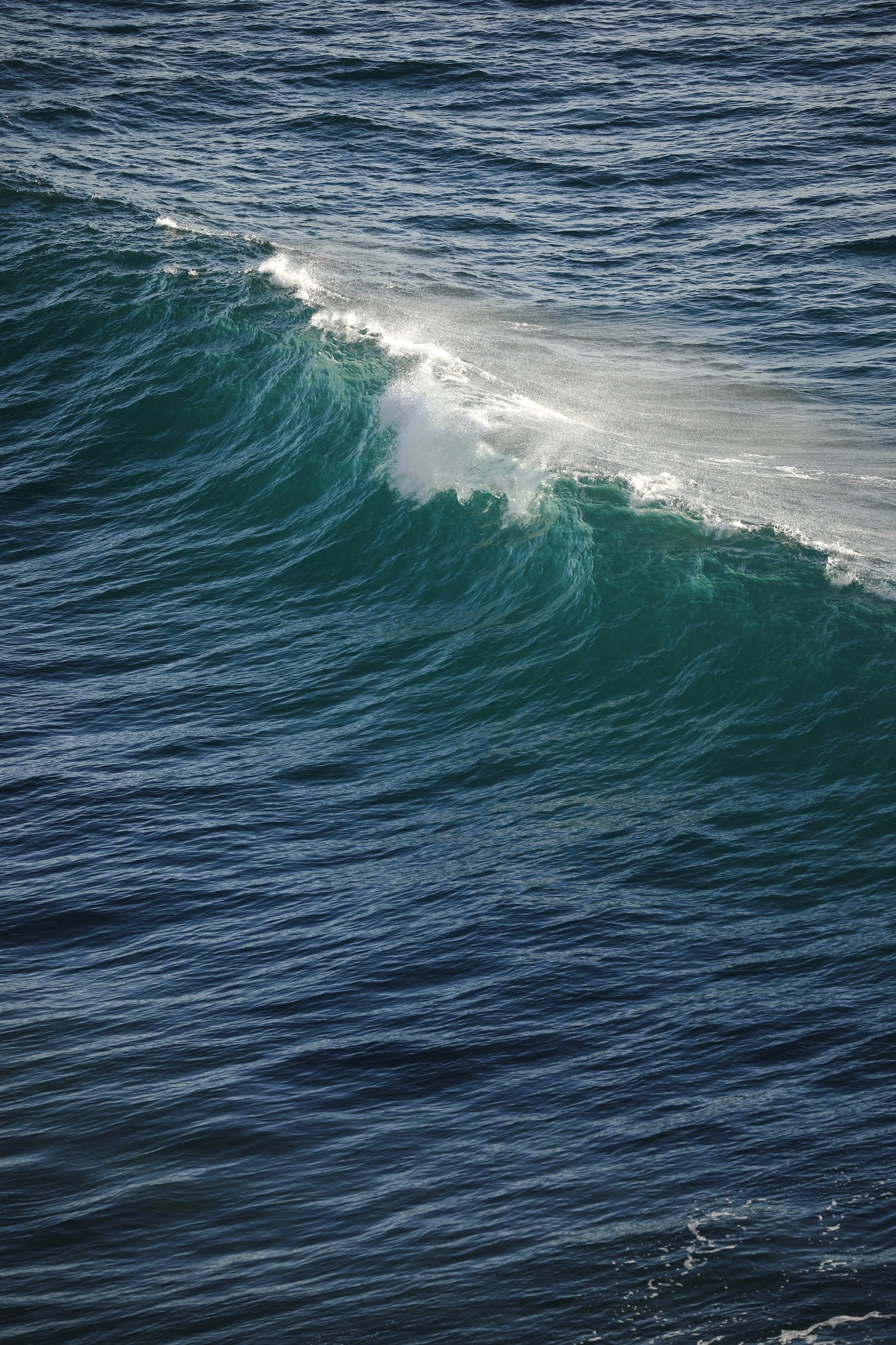 Photograph of a large ocean wave with white foam at the crest