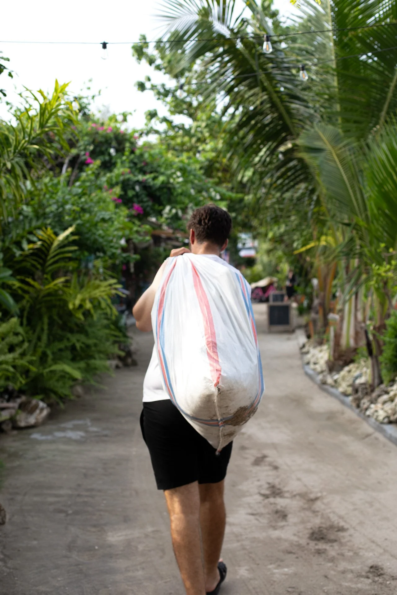 A man walking down a dirt pathway surrounded by lush green tropical plants, carrying a large, white, striped bag on his back.