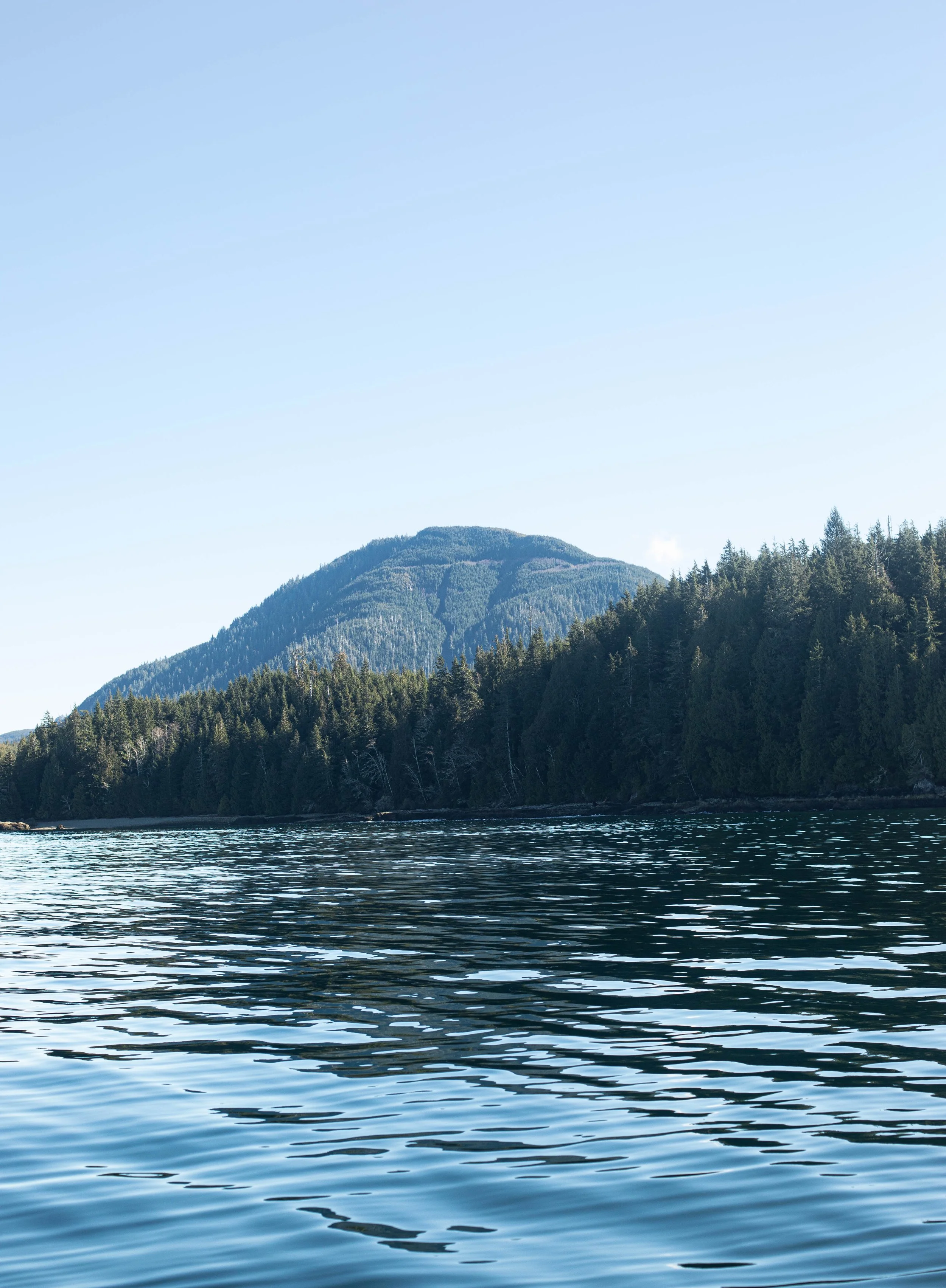 A scenic view of a body of water with gentle ripples, bordered by dense green forest, and a mountain in the background under a clear, blue sky.