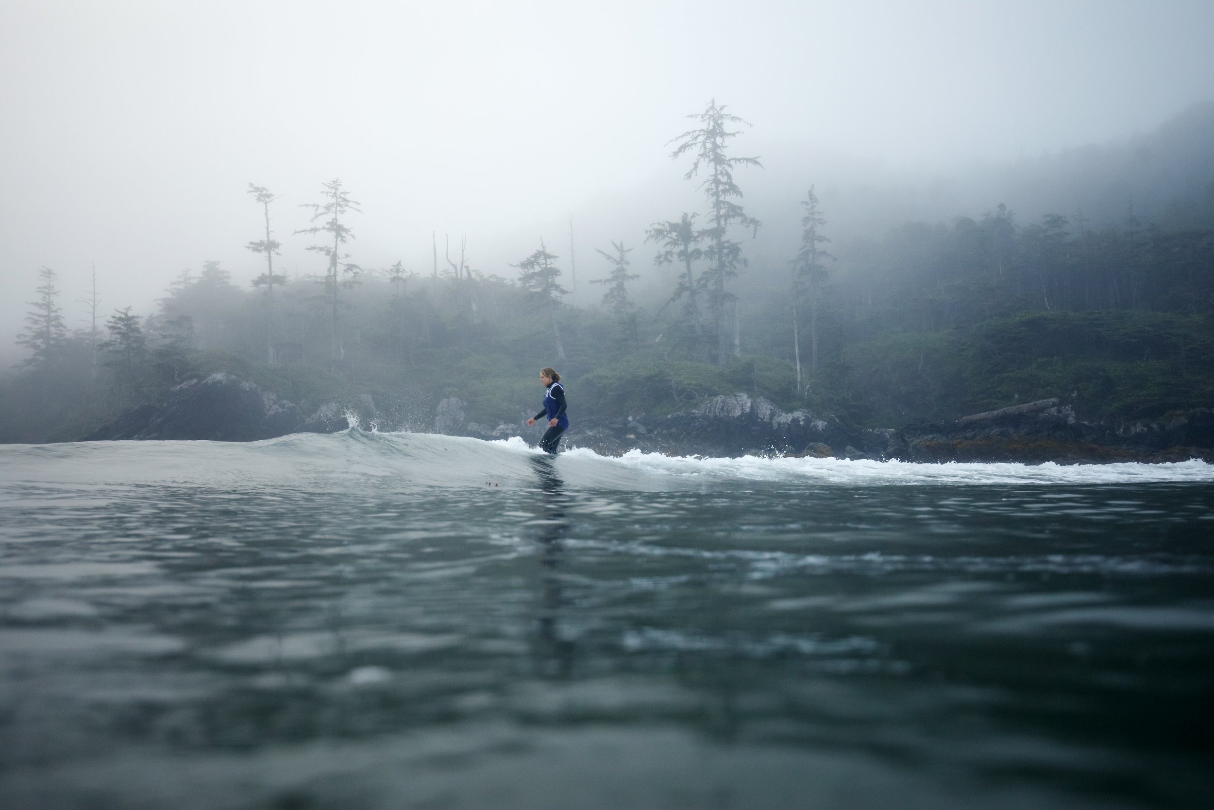 Person surfing on a small wave near a foggy, tree-lined shoreline.
