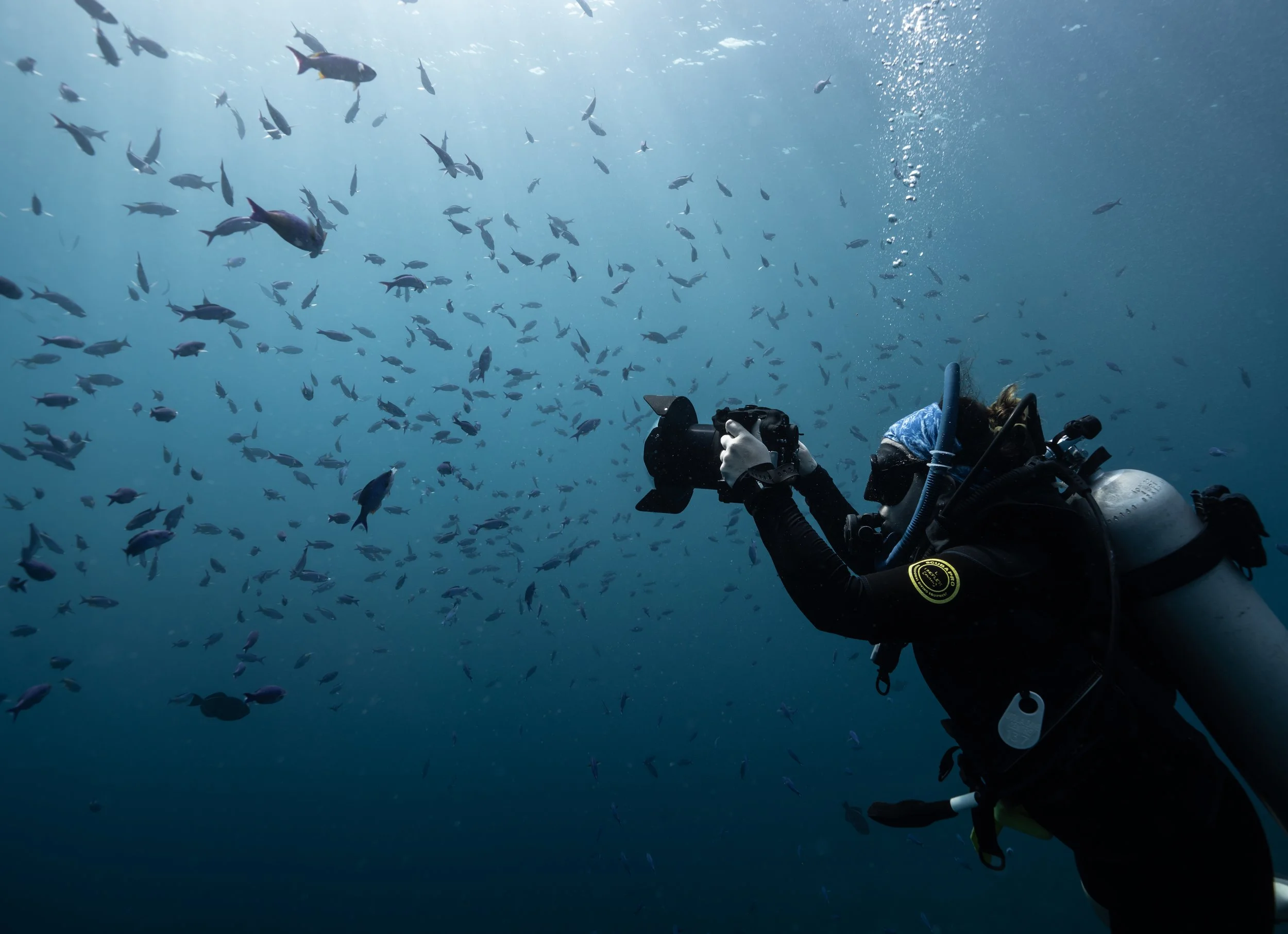 A scuba diver taking photographs underwater among a school of fish in the ocean.