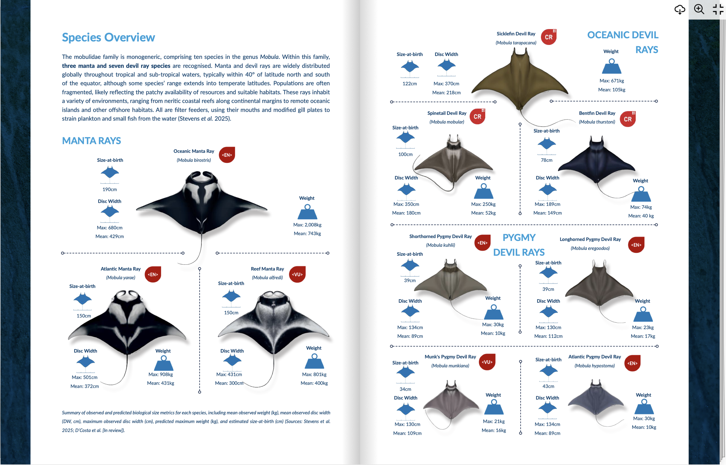 Screenshot 2025-12-05 at 11.42.21 AM.png