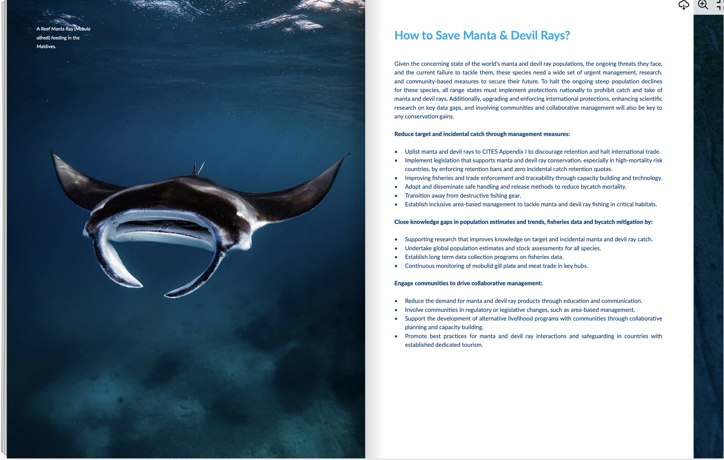 Screenshot 2025-12-05 at 11.43.06 AM.png