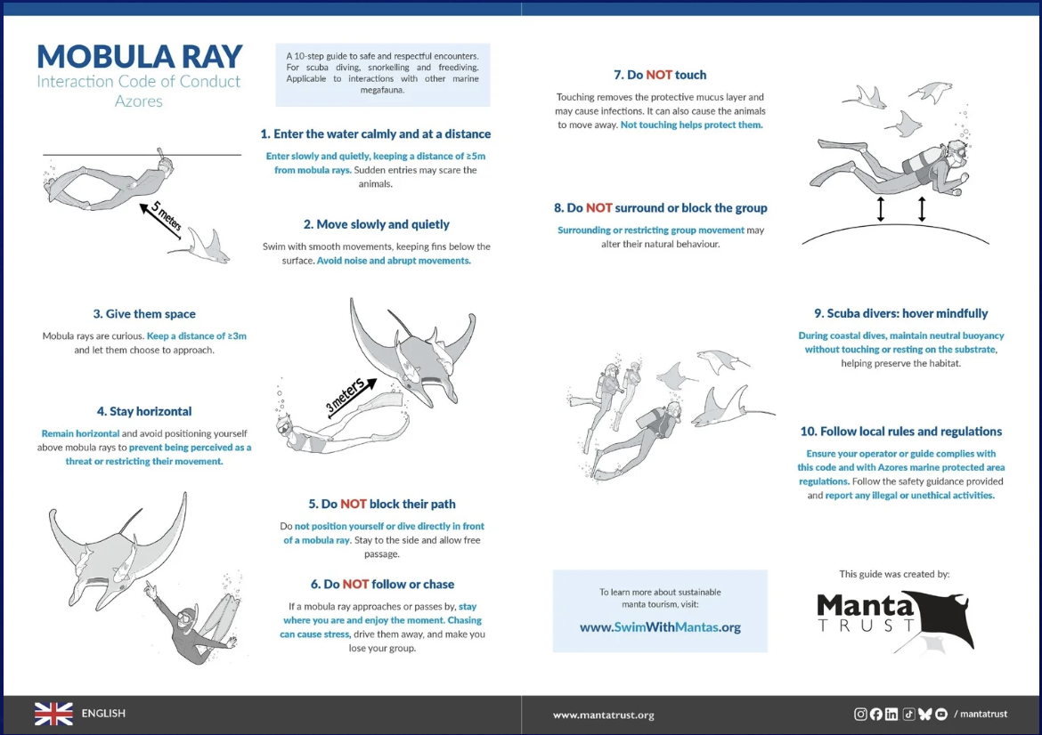 Screenshot 2026-01-26 at 1.32.02 PM.png