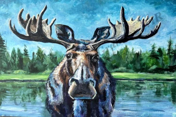 A-M-M-Moose!  24x36 Acrylic on Canvas, 2026
