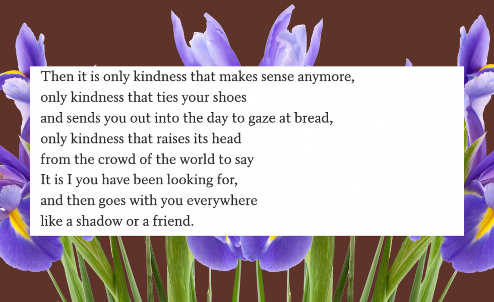 Offerings in grief &amp; solidarity