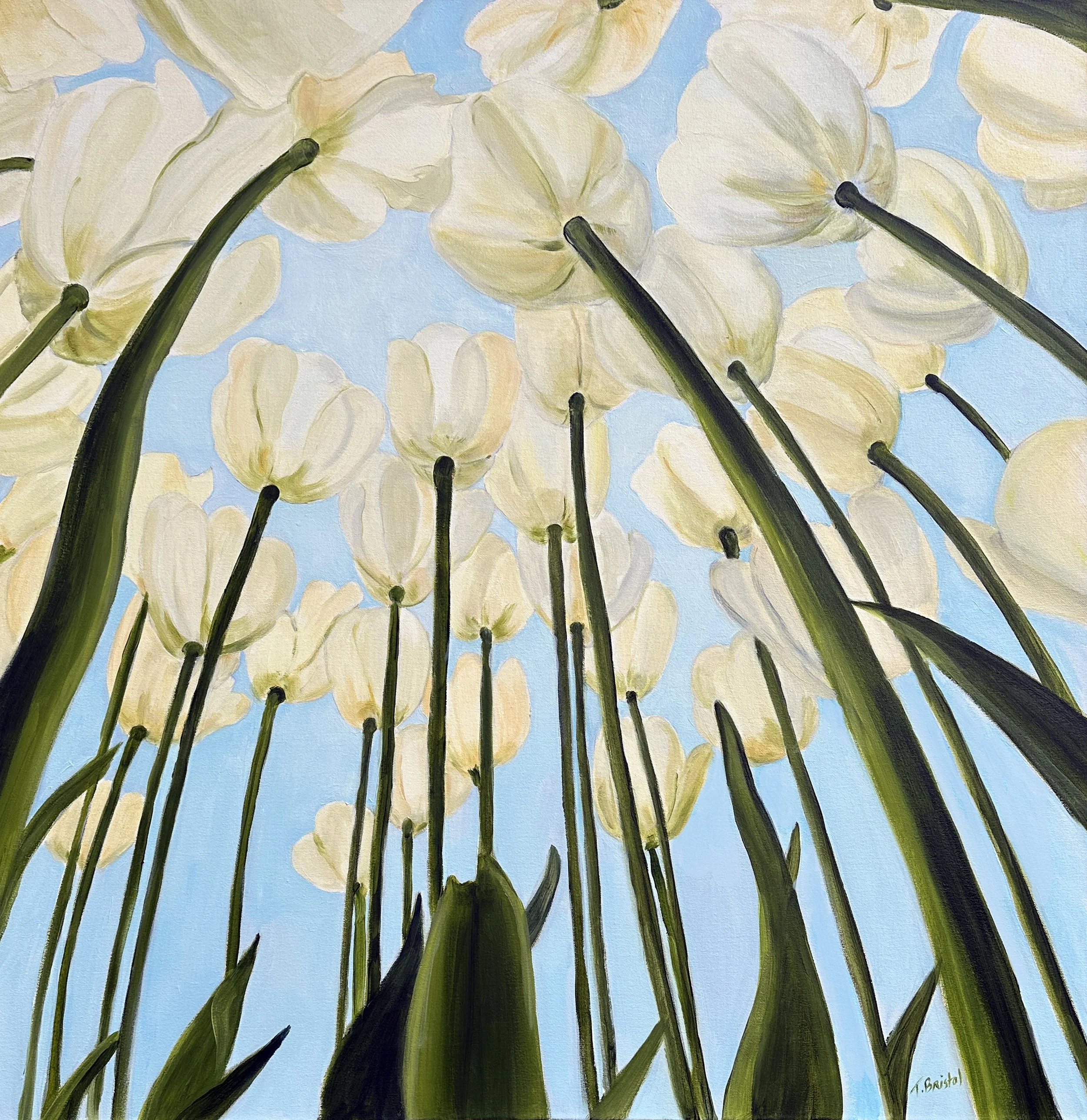 Antslookinguplightertulips copy.jpg