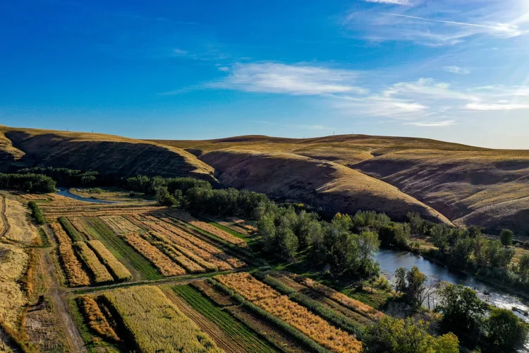 Premiere Hunting in Pendleton Oregon | Horseshoe Curve Outdoors