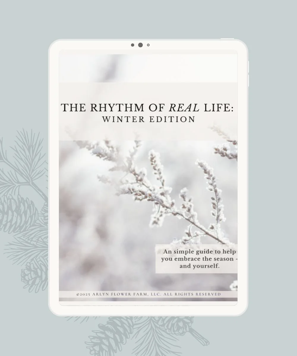 REVISED Winter ebook Promo graphics - website - 1000 x 1200.jpg
