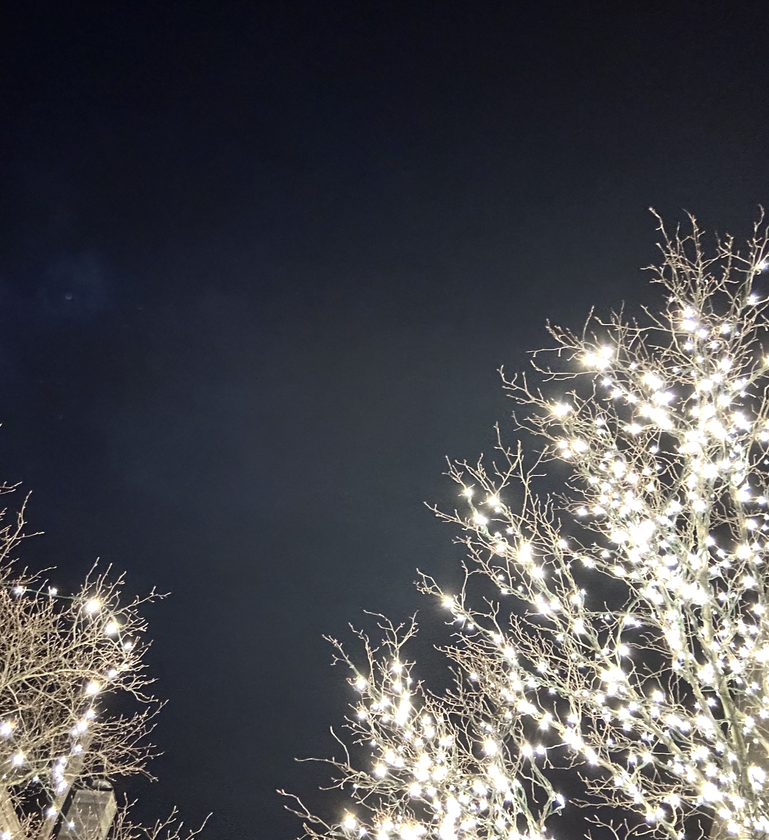 Activities for The Winter Solstice &amp; Yule
