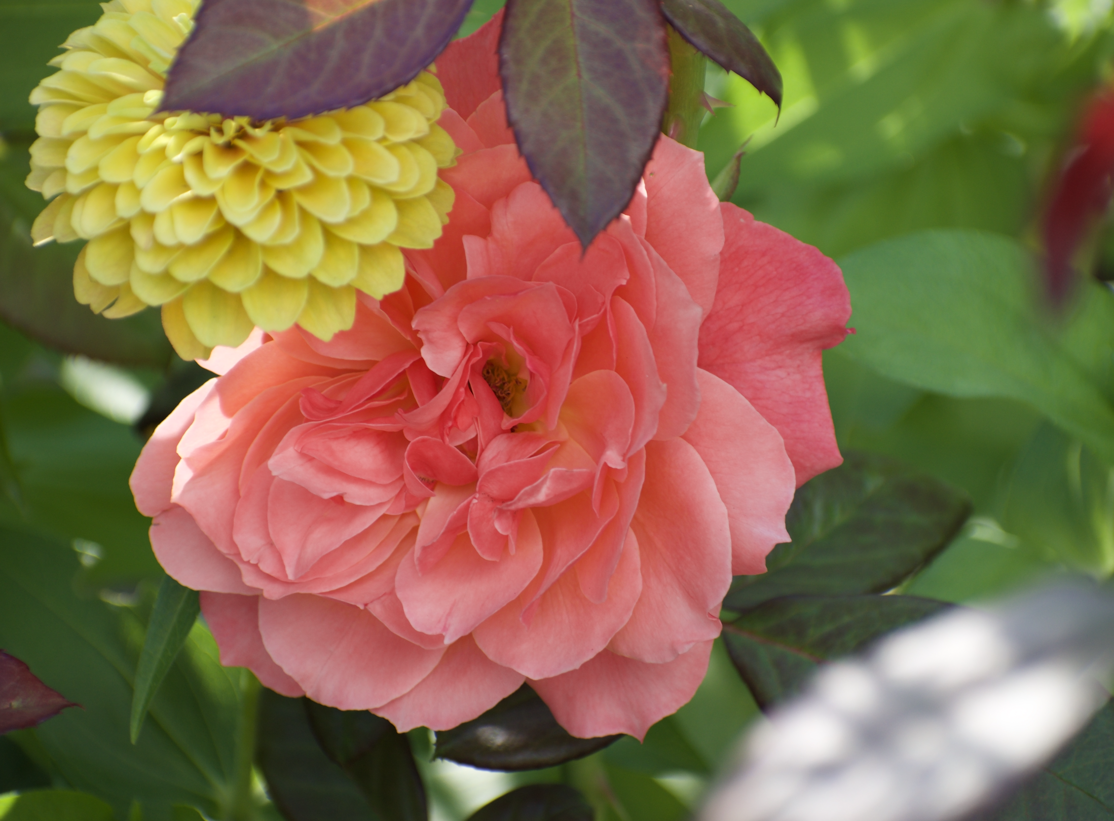 Screenshot 2026-03-11 at 9.55.30 AM.png