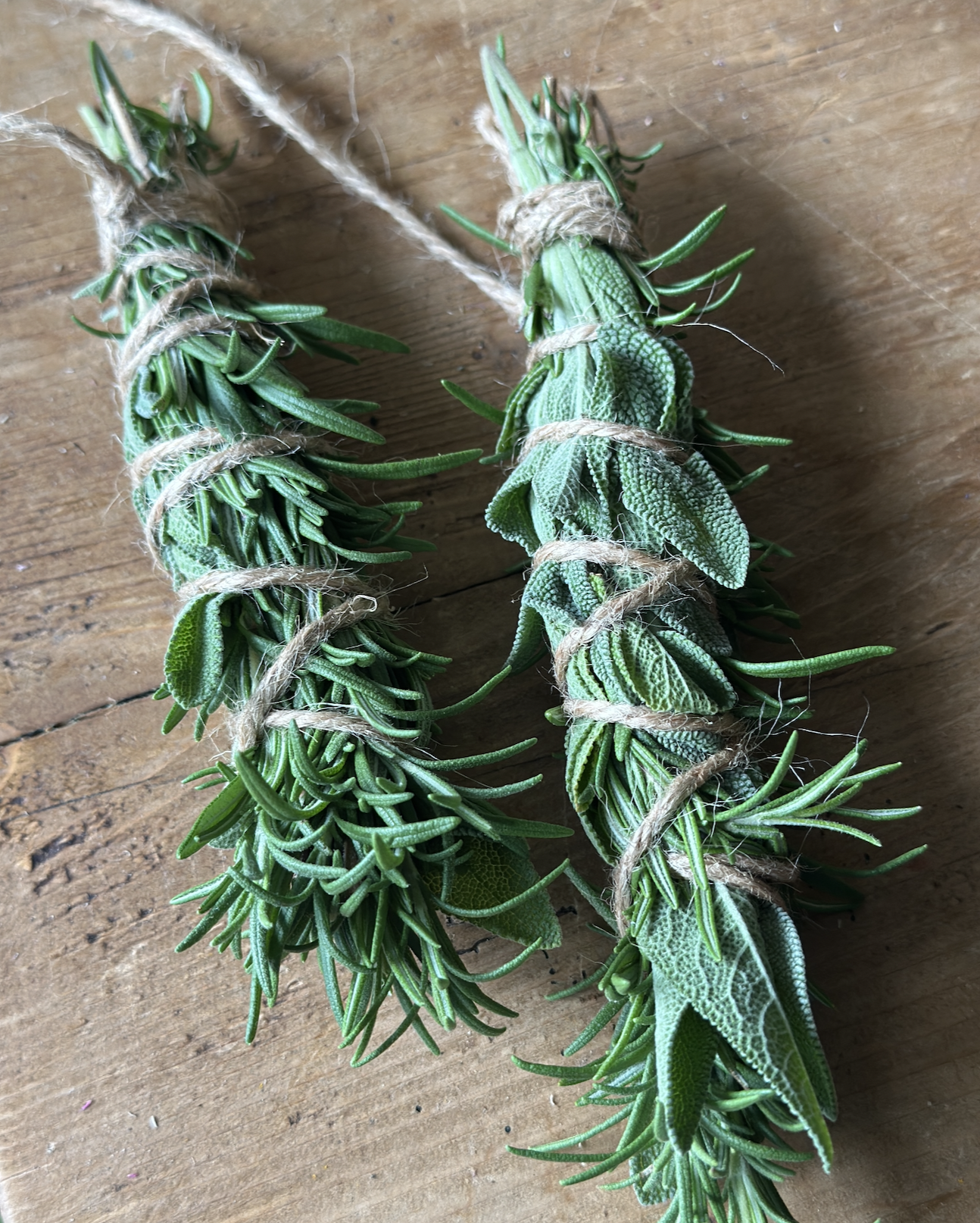 My Top 6 Plants to Grow in a Witchy Garden