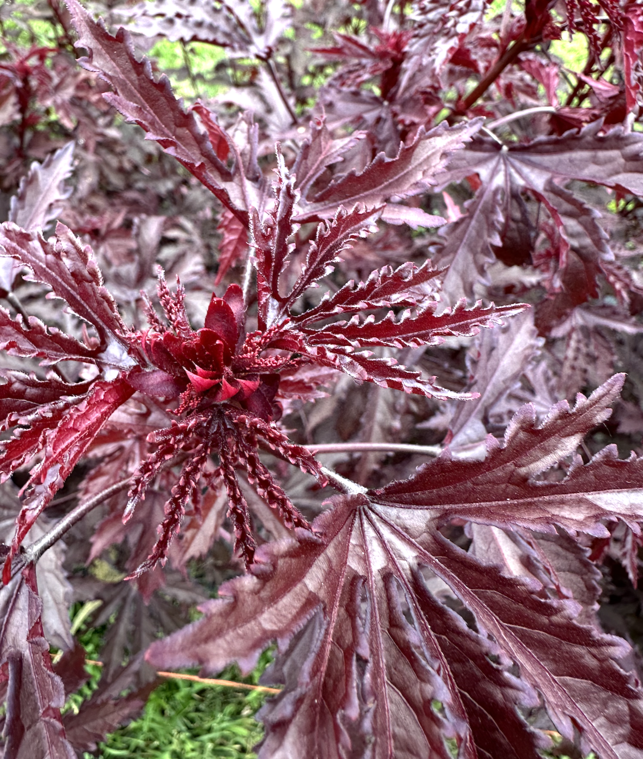 Screenshot 2026-03-22 at 9.15.03 AM.png