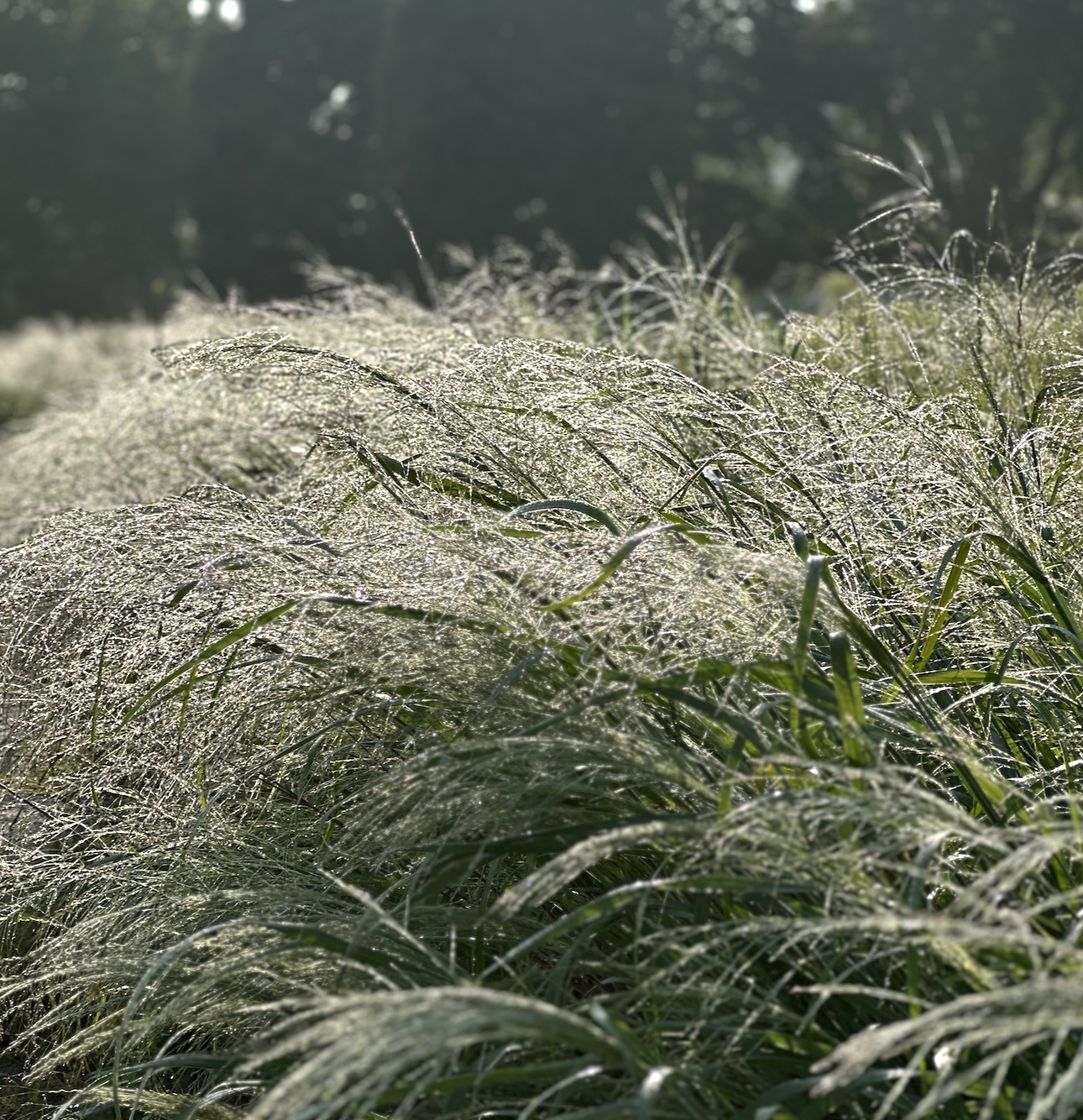 Screenshot 2026-03-22 at 10.05.52 AM.png