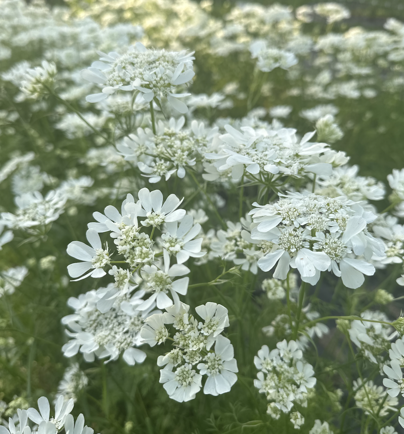 Screenshot 2026-03-22 at 10.04.13 AM.png