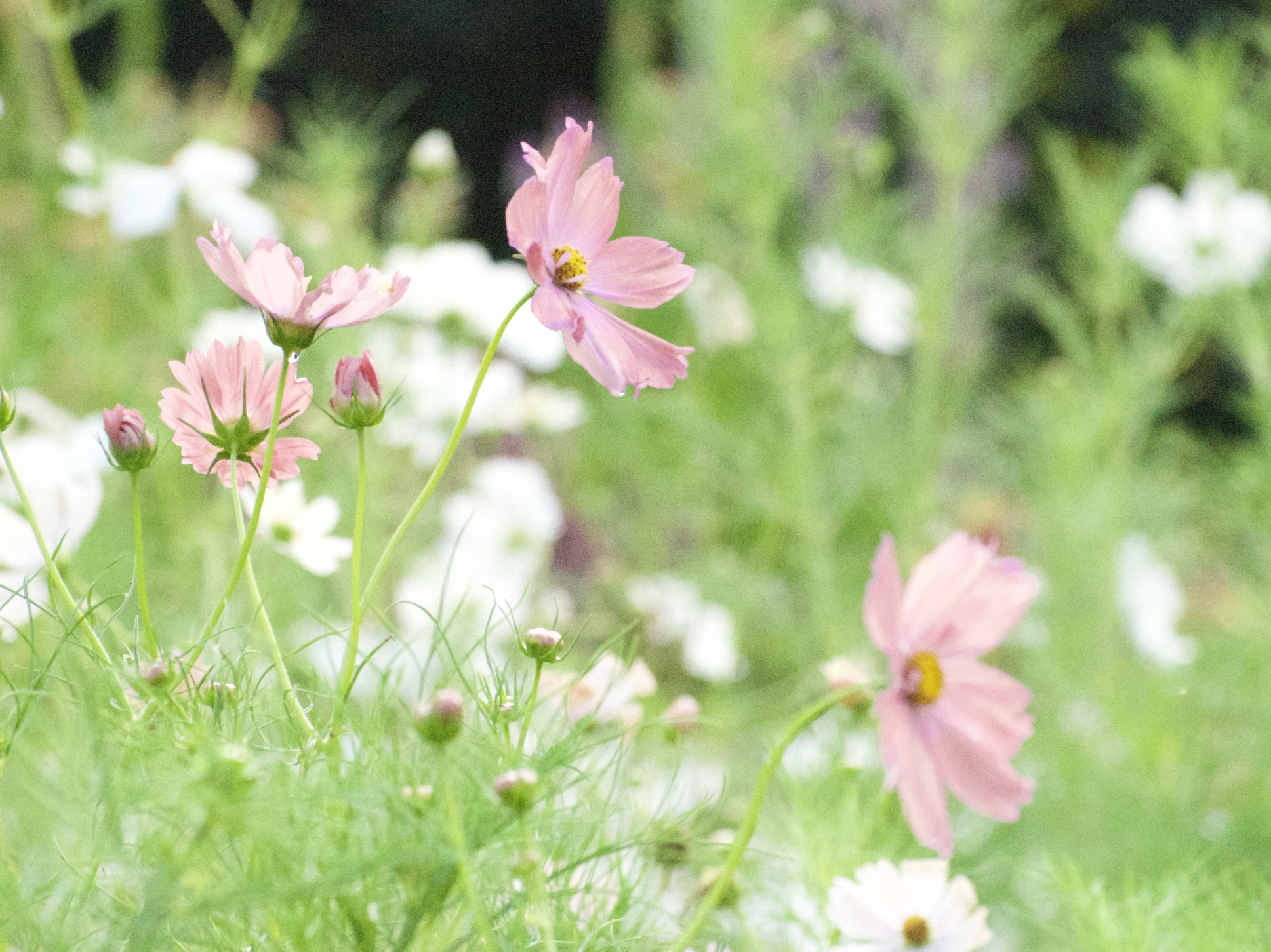 Screenshot 2026-03-22 at 10.05.31 AM.png