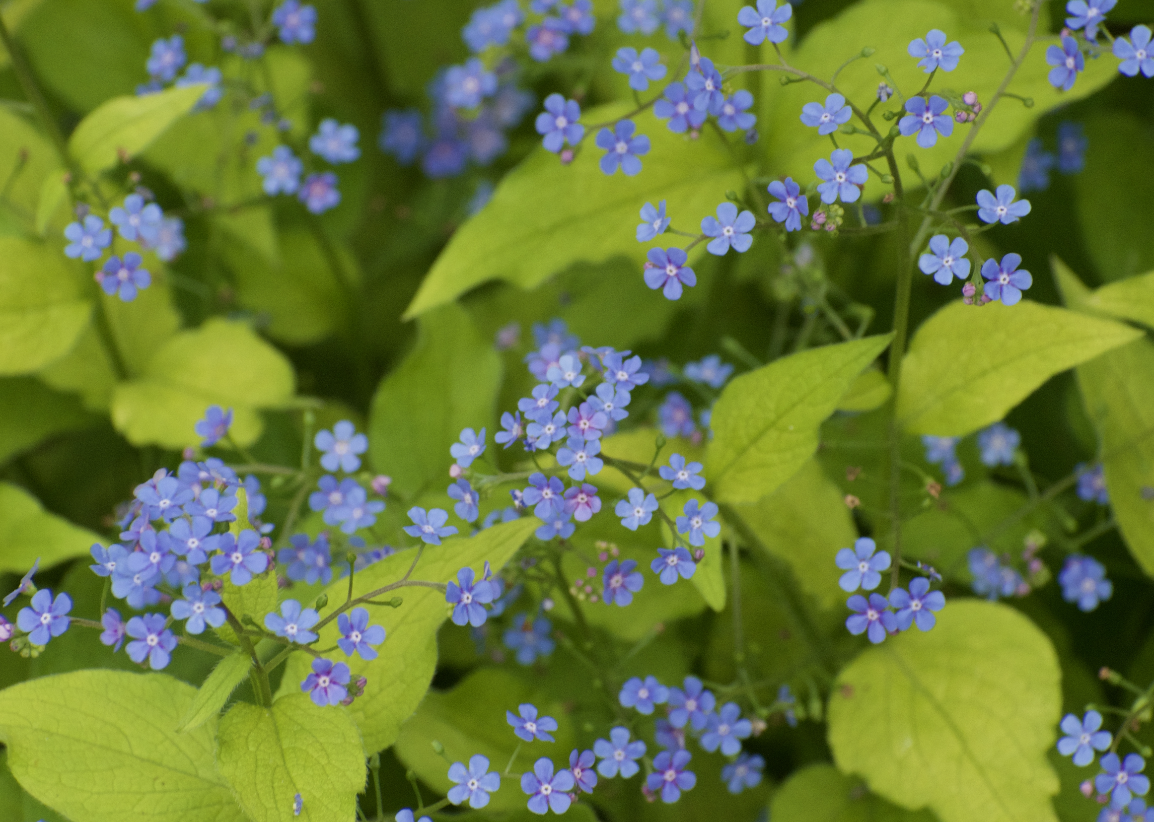 Screenshot 2026-03-22 at 10.23.17 AM.png