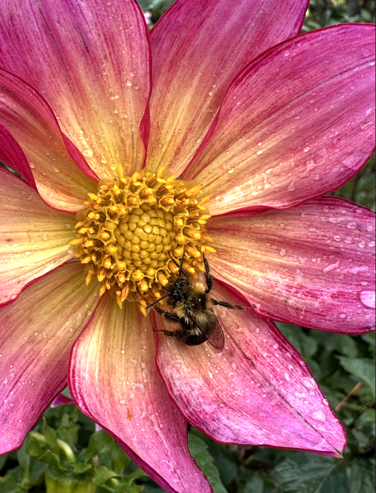 Screenshot 2026-03-22 at 1.06.40 PM.png